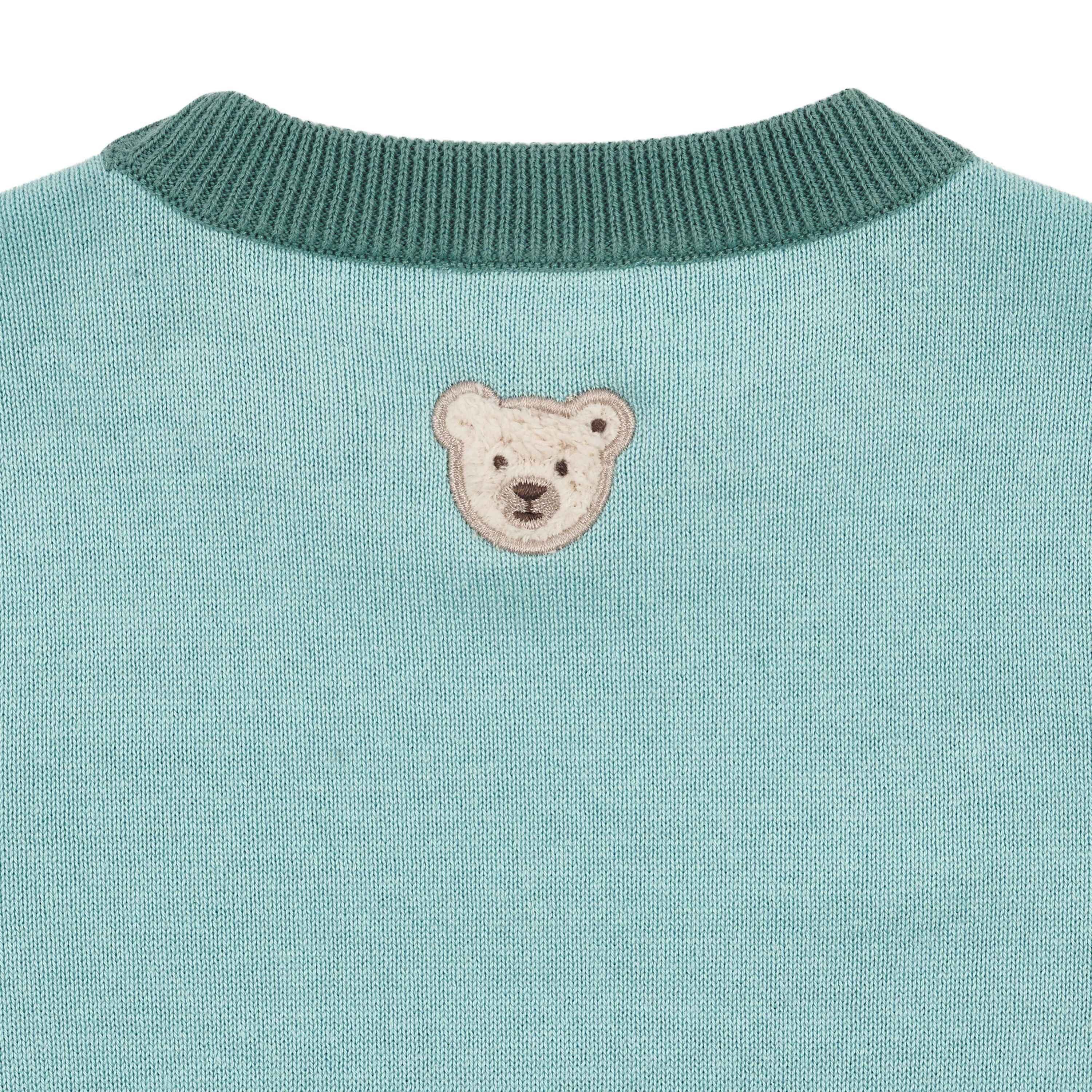 Steiff Rundhalspullover Pullover Dinosaur