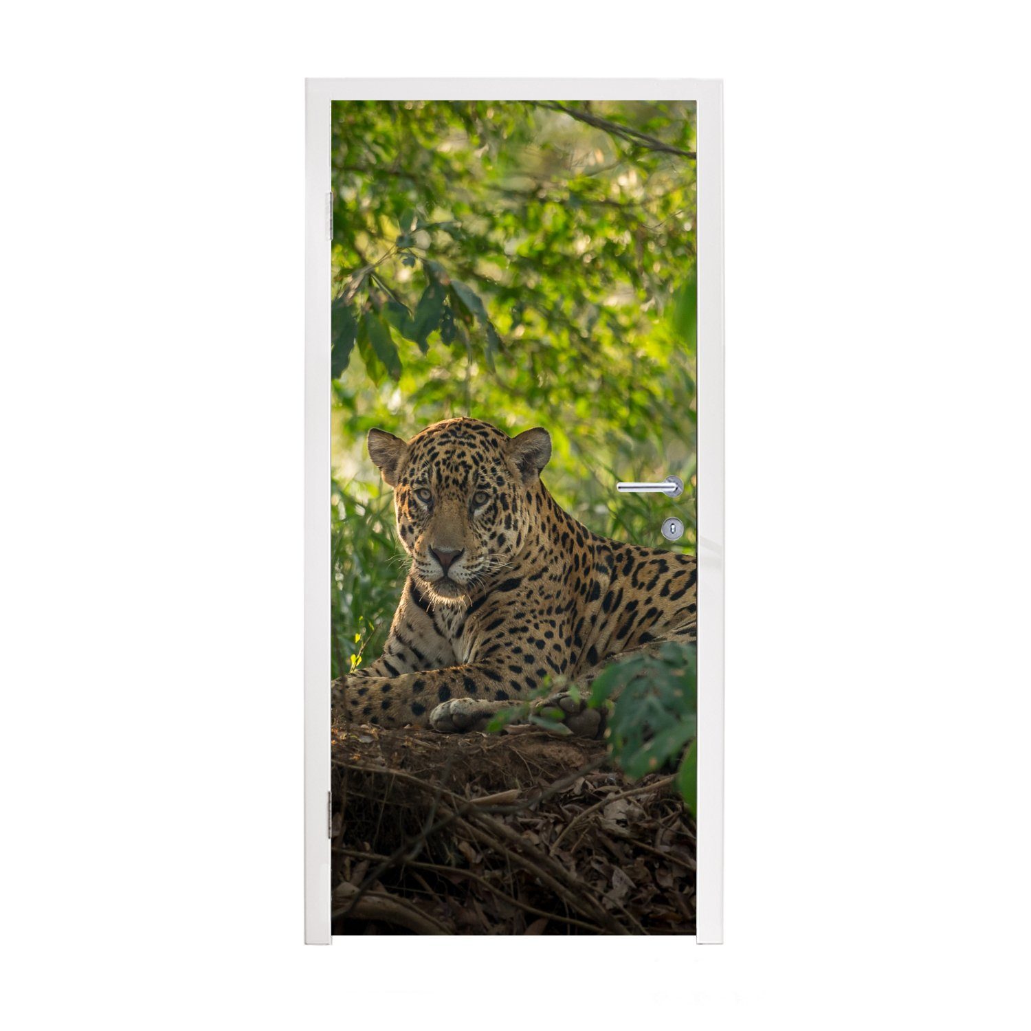 MuchoWow Türtapete Jaguar im Dschungel, Matt, bedruckt, (1 St), Fototapete für Tür, Türaufkleber, 75x205 cm