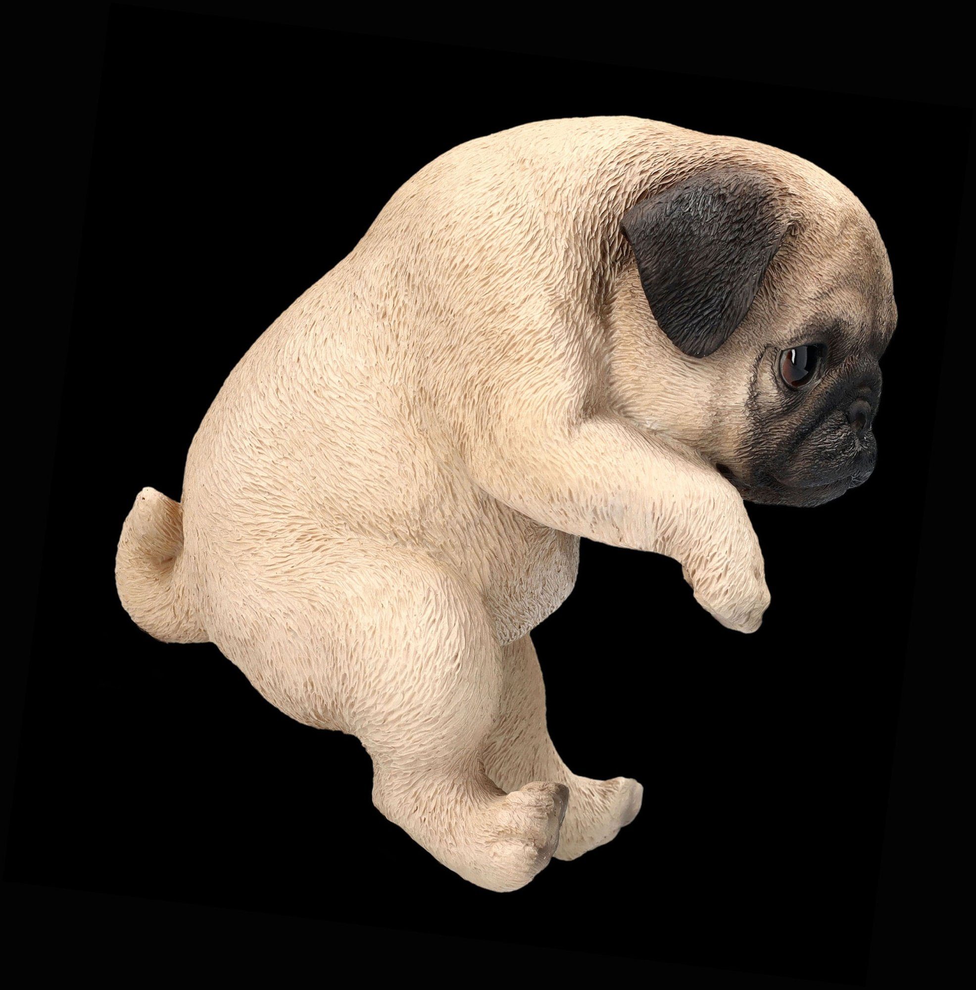 Mops Blumentopf-Hänger Dekofigur Hunde Dekoration GmbH Shop als Tierfigur Figuren Welpen Figur -