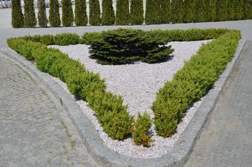 Best for Garden Trittsteine Granit Ziersplitt Grau 16-22 mm