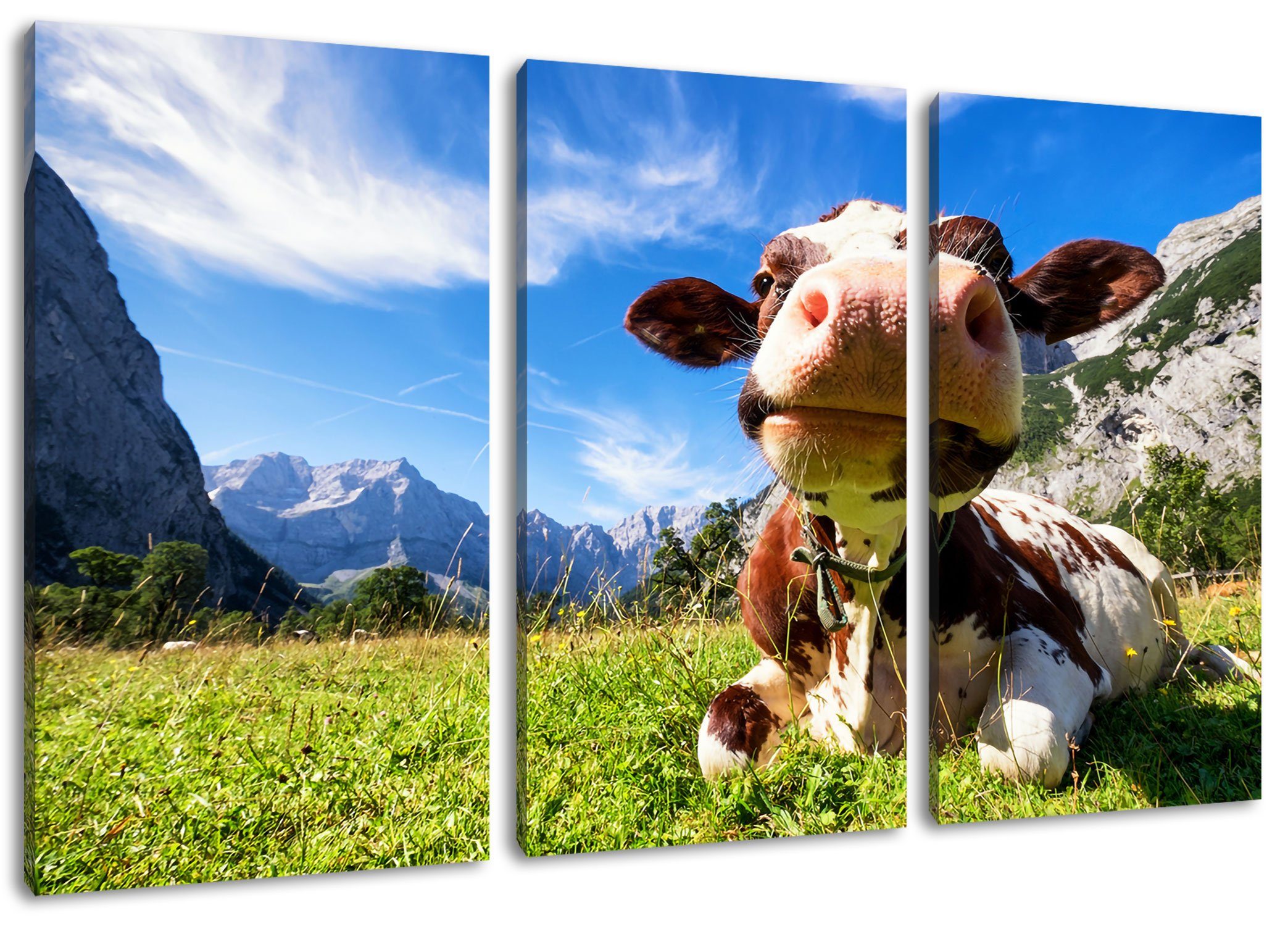 Pixxprint Leinwandbild Kuh im Karwendelgebirge, Kuh im Karwendelgebirge 3Teiler (120x80cm) (1 St), Leinwandbild fertig bespannt, inkl. Zackenaufhänger