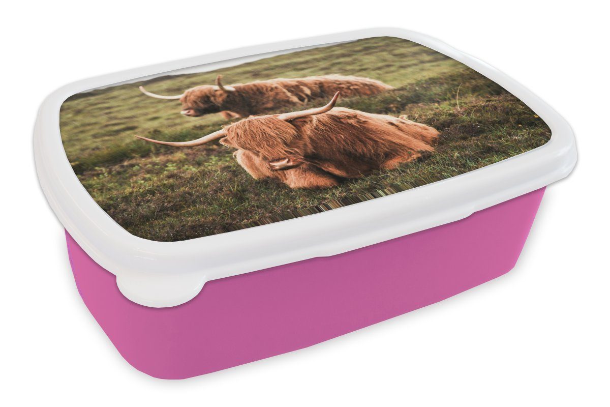 MuchoWow Lunchbox Kühe - Gras - Sonne, Kunststoff, (2-tlg), Brotbox für Erwachsene, Brotdose Kinder, Snackbox, Mädchen, Kunststoff rosa