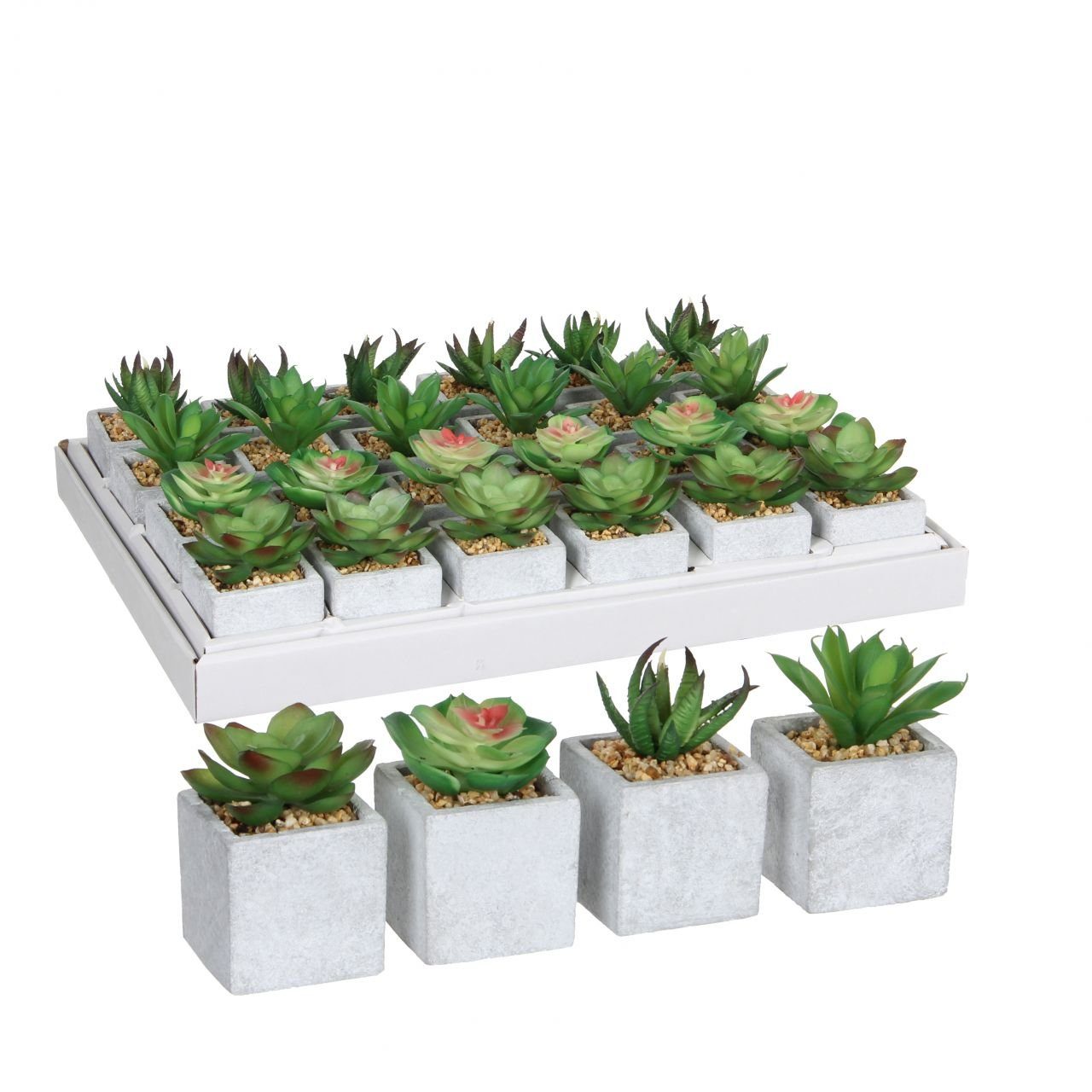 Kunstpflanze Mica Sukkulente im Topf grün 8 x 5 cm, Mica Decorations