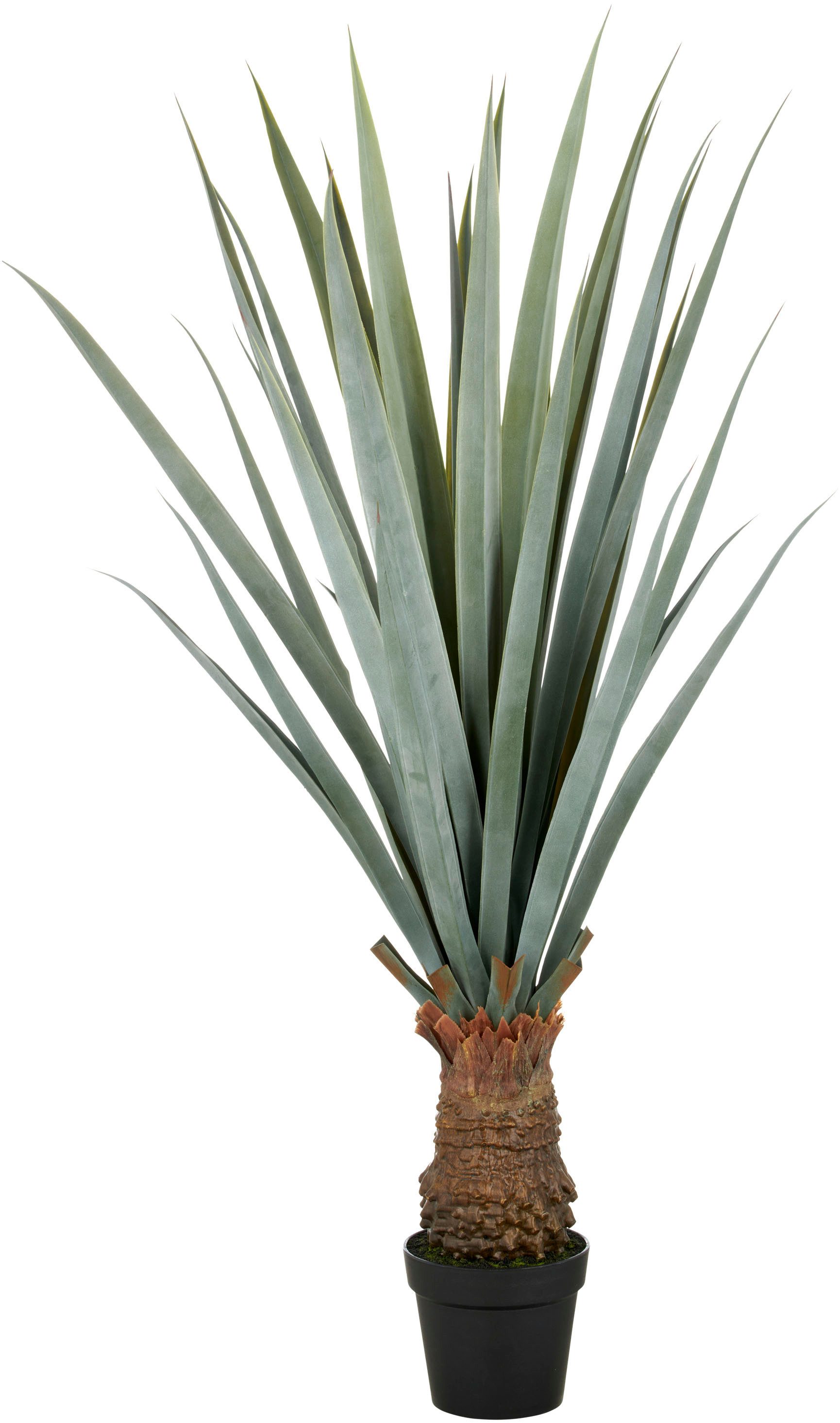 Kunstpflanze Agave angustifolia, Creativ green, Höhe 140 cm, in beeindruckender Größe