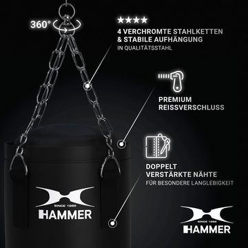 Hammer Boxsack Sparring Professional (Set, mit Boxhandschuhen, mit Haken, mit Sprungseil, mit Trainings-DVD)
