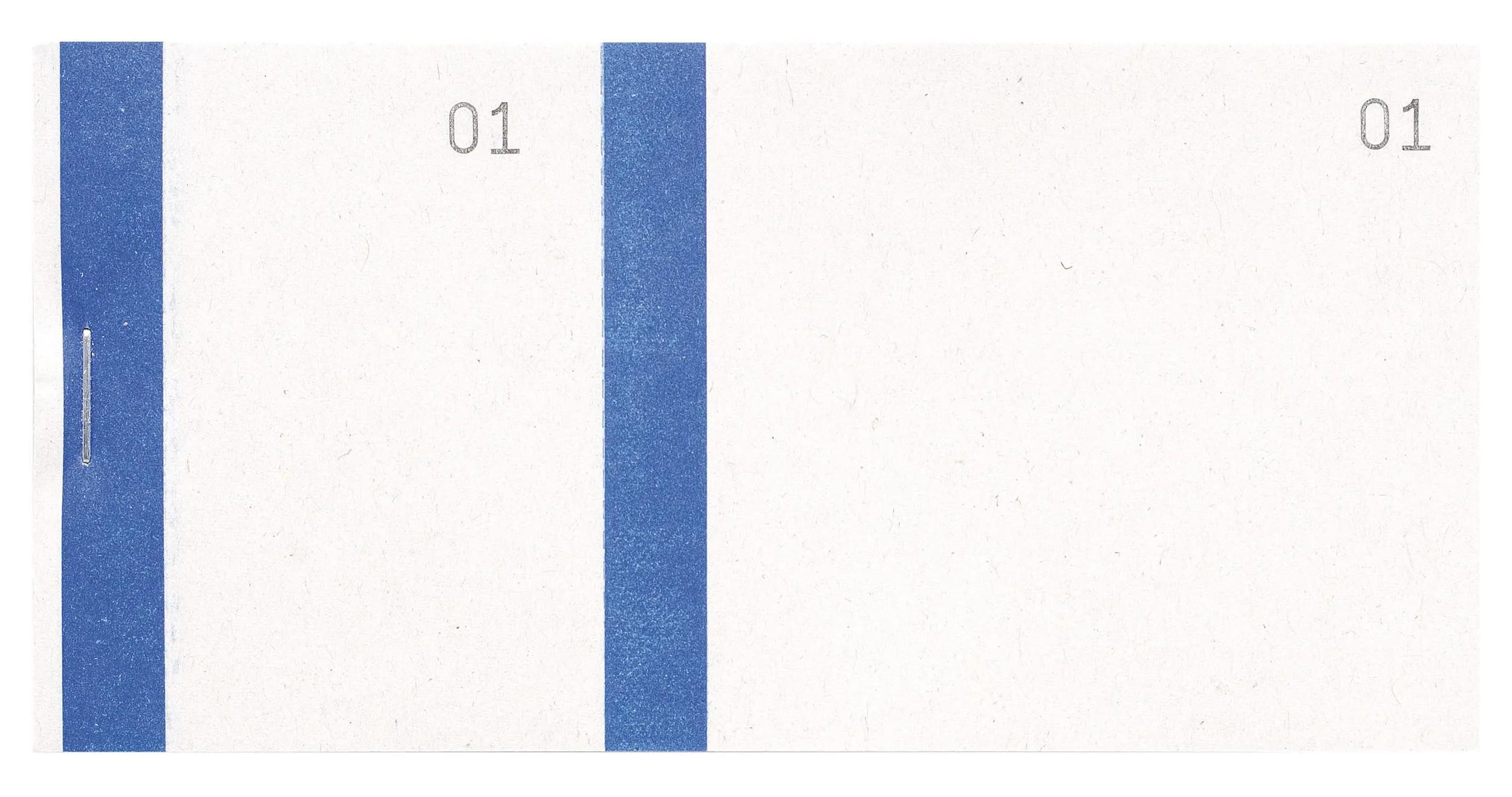 EXACOMPTA Geschäftspapier 50x Nummernbl 60x135 100 Bl Farbband br - Blau - 96302E, Blocks