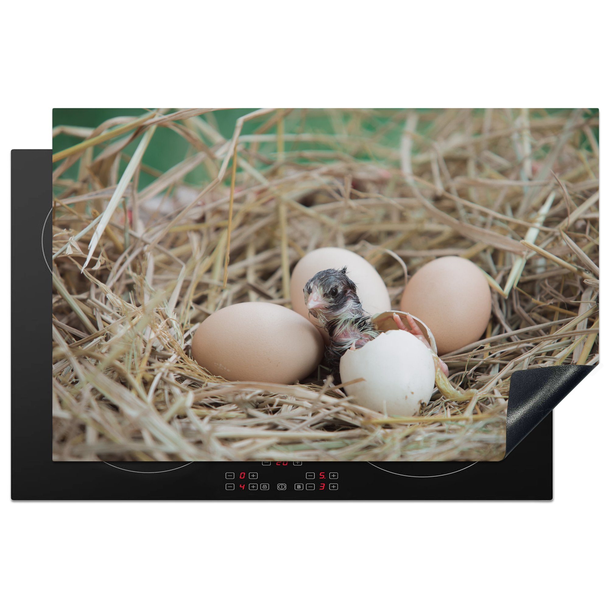 MuchoWow Herdblende-/Abdeckplatte Neugeborenes Huhn, das aus dem Ei schlüpft, Vinyl, (1 tlg), 81x52 cm, Induktionskochfeld Schutz für die küche, Ceranfeldabdeckung