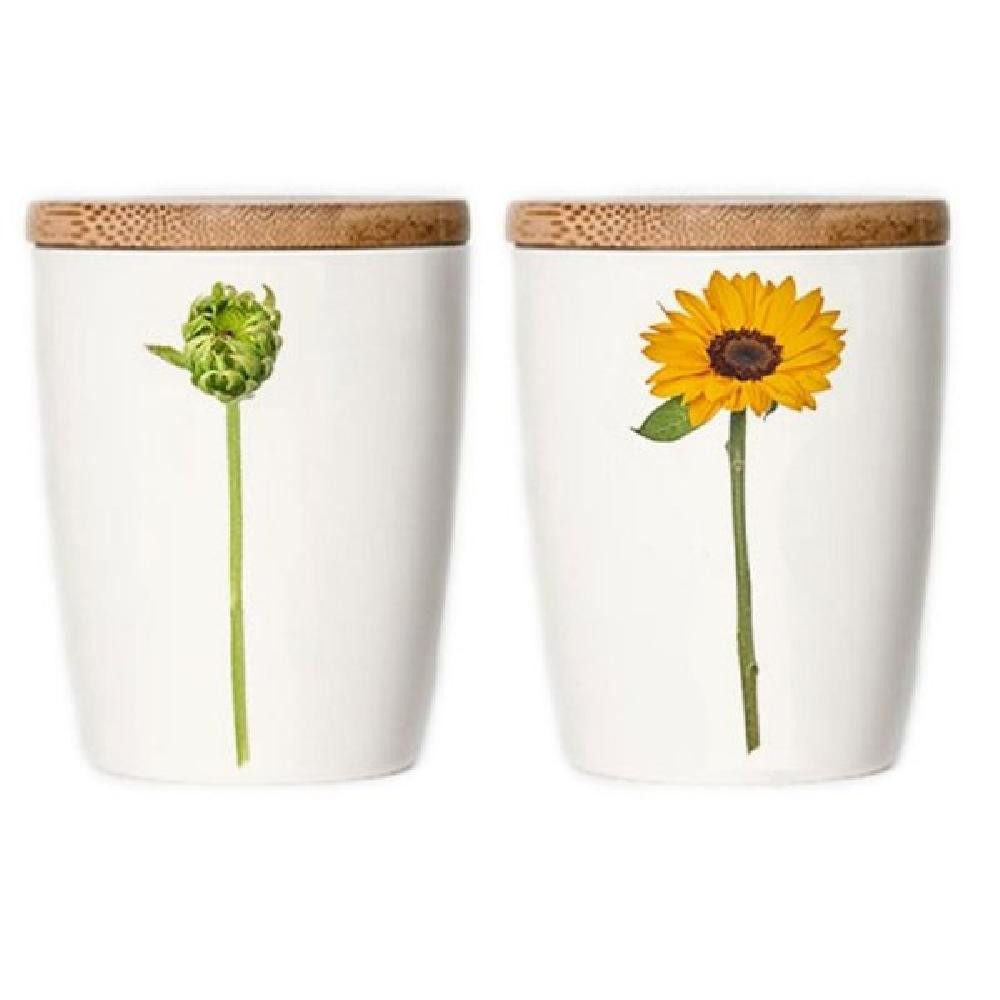 Simply Flowers Vorratsdose Tasse Sonnenblume (Groß)