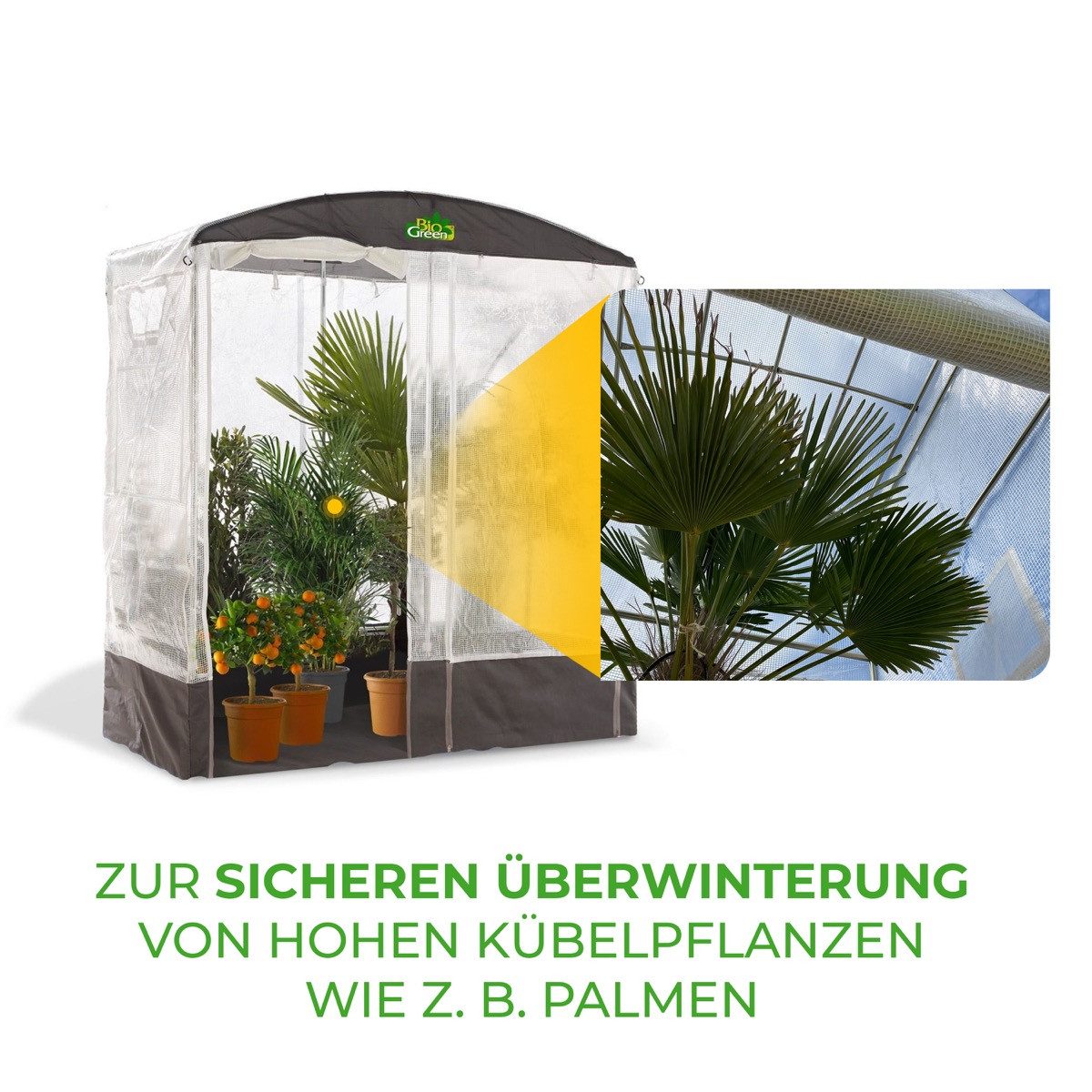 Bio Green Gewächshaus Überwinterungszelt PATIOFLORA 200/XL für Pflanzen
