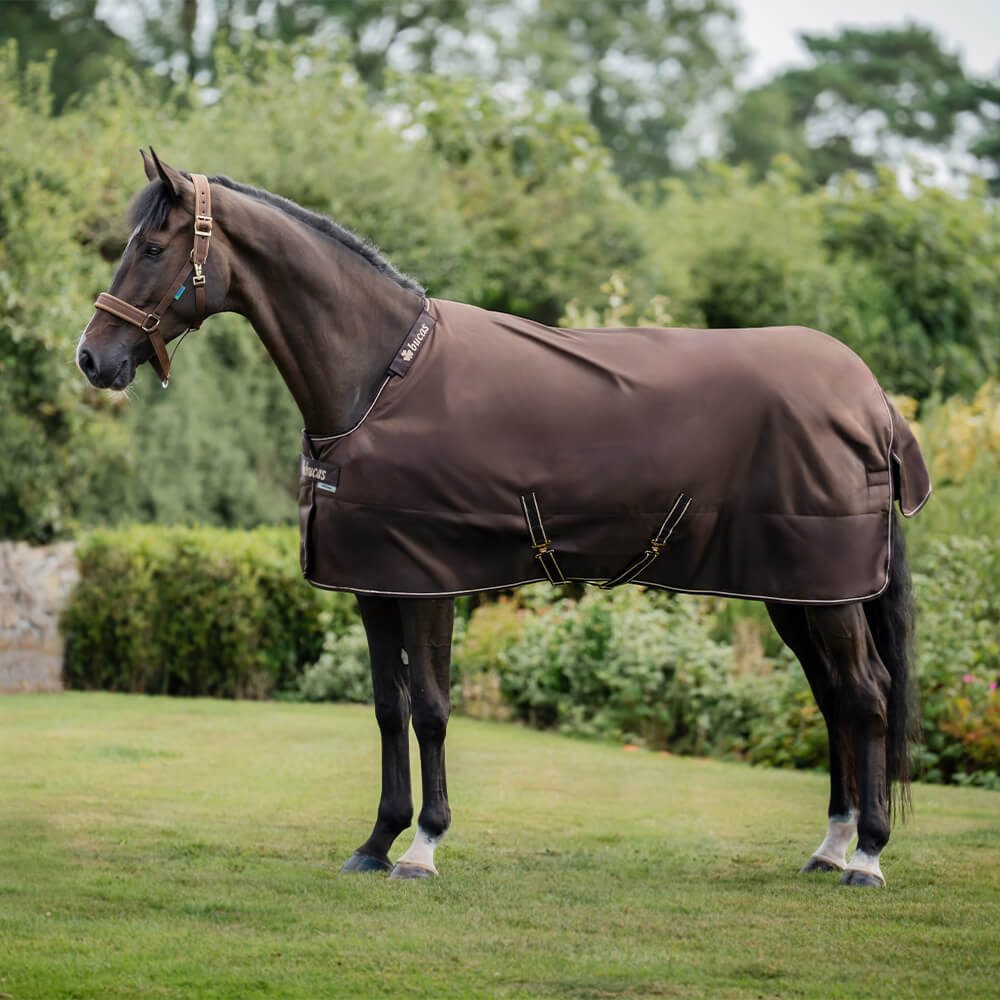 Bucas Pferde-Thermodecke Bucas Irish Turnout 300g und Halsteil - Set