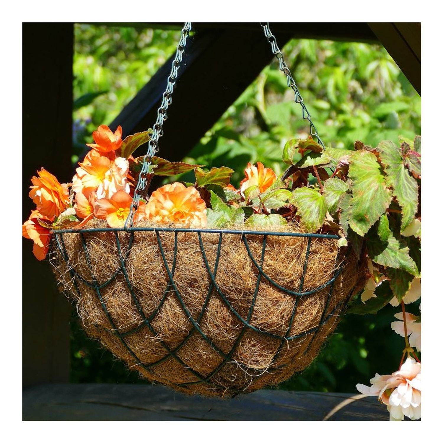 BURI Pflanzkübel Pflanzeinlage für Pflanzkörbe und Blumenampeln 65cm Kokos-Einleger Kok