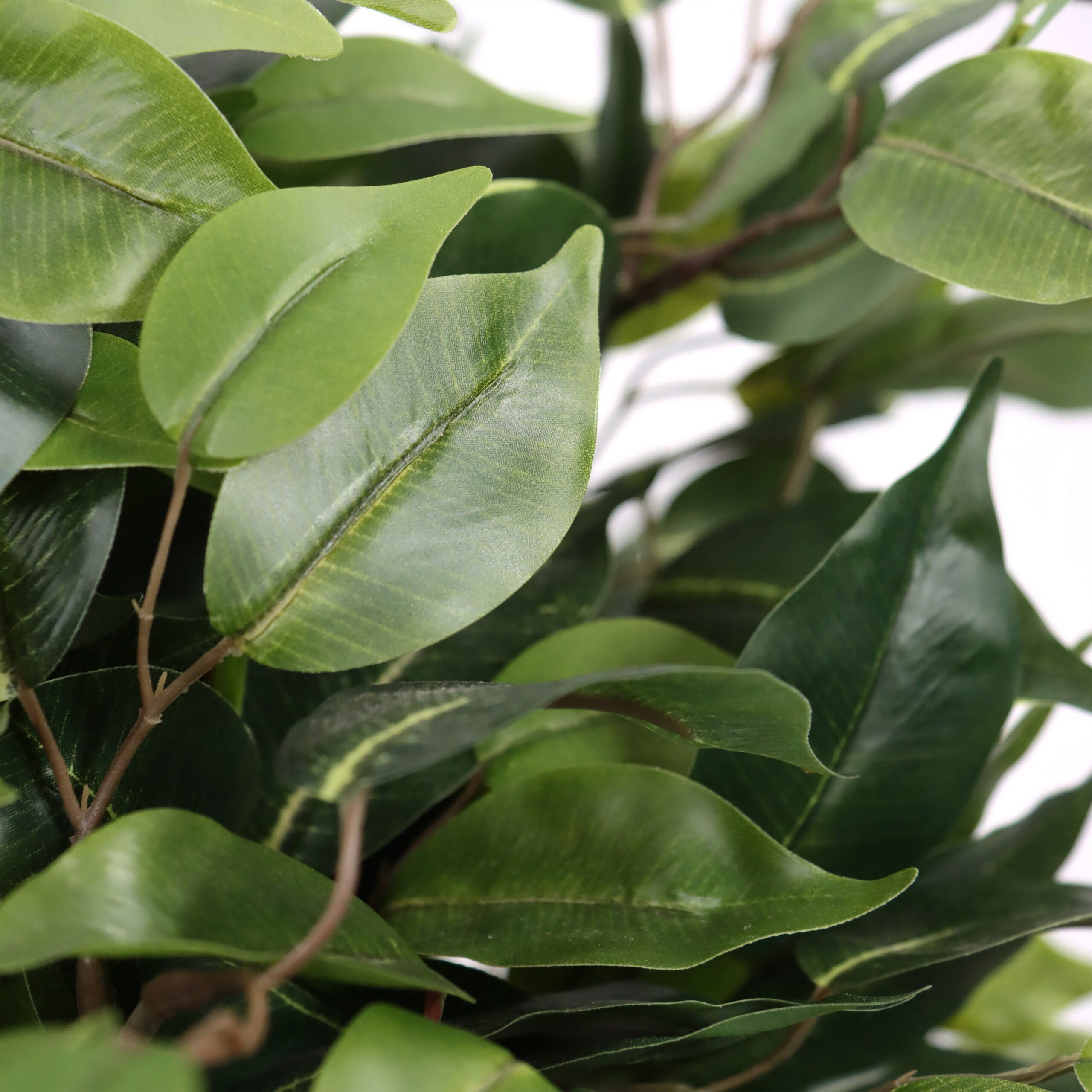Kunstpflanze FICUS II Künstliche Pflanze Höhe 65.0 cm Birke Birke, hjh OFFICE, Höhe 65.0 cm, Künstliche Pflanze Zimmerpflanze im Topf, Benjamini