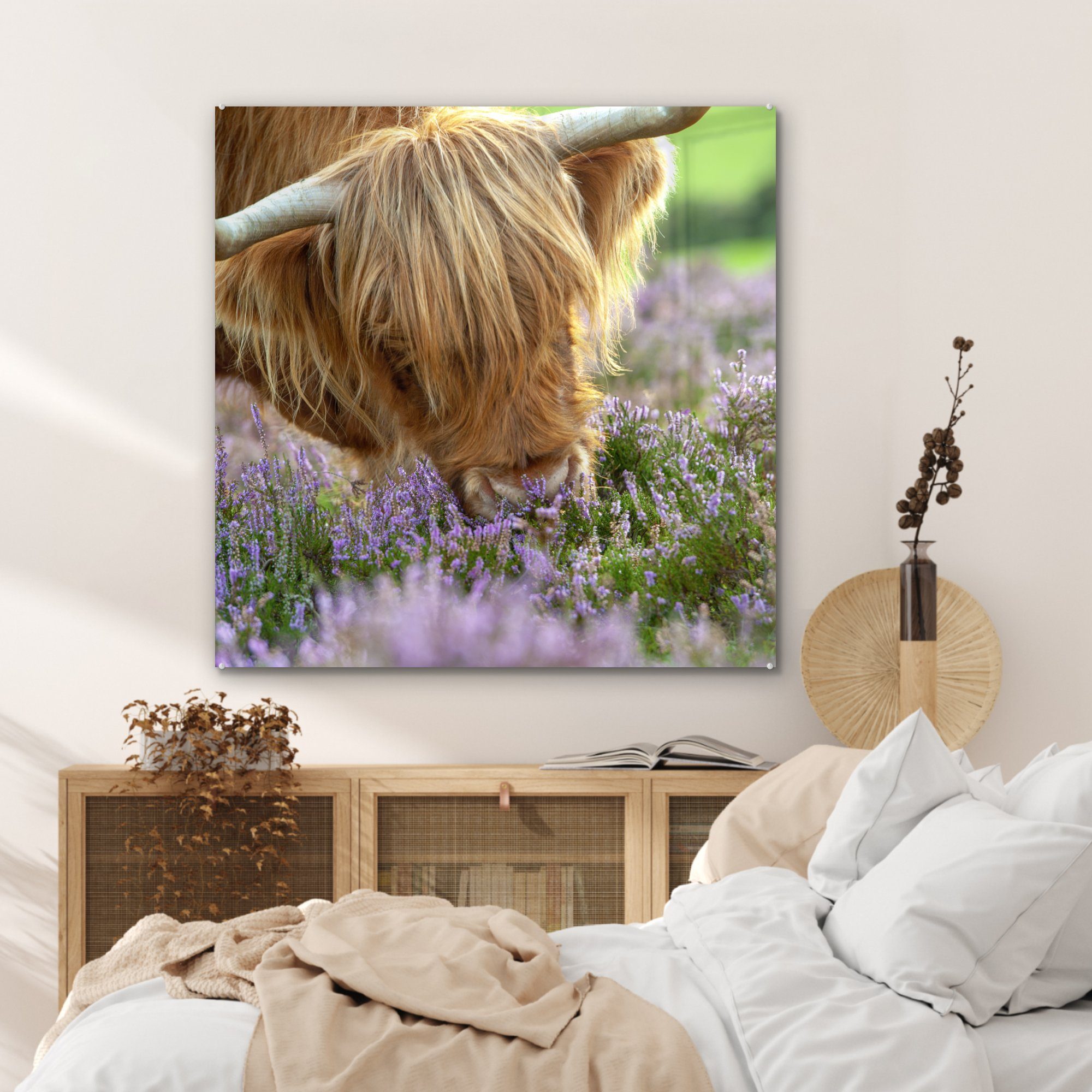 MuchoWow Acrylglasbild Schottische Highlander - Bild für & Tiere, - St), Heidekraut Wohnzimmer auf Glas - Dekorative (1 Gras Küche