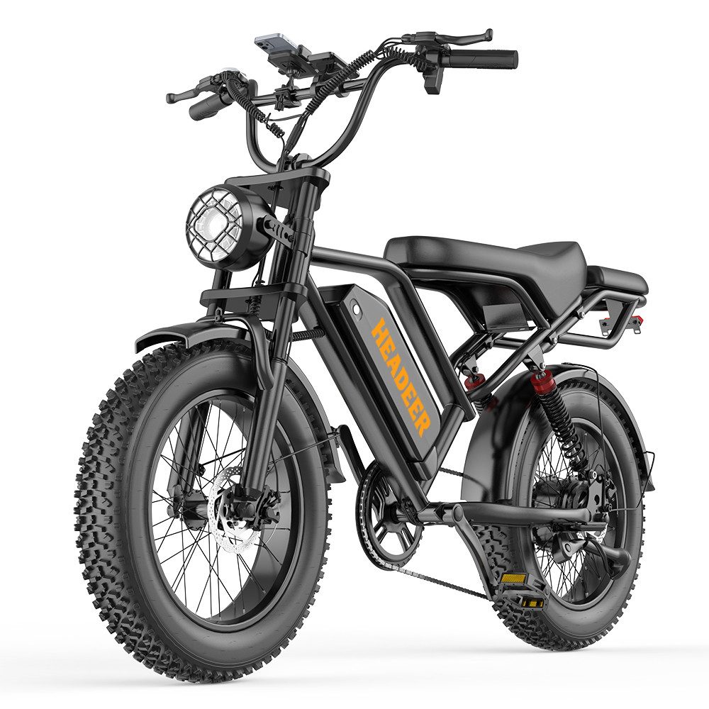 Vankel E-Bike Cityrad 20 Zoll Fatbike, 48 V 20 Ah Akku, 4 Zoll Reifen, bis 80 km, Kettenschaltung, Heckmotor, 960 Wh, Vollfederung und Scheibenbremsen für Stadt, Schotter und Touren