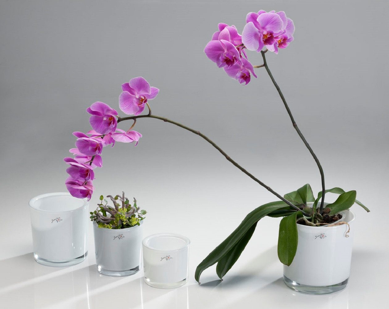 Sandra Rich Übertopf SANDRA RICH, Glasübertopf WEISS "cylindrical heavy Pot günstig online kaufen