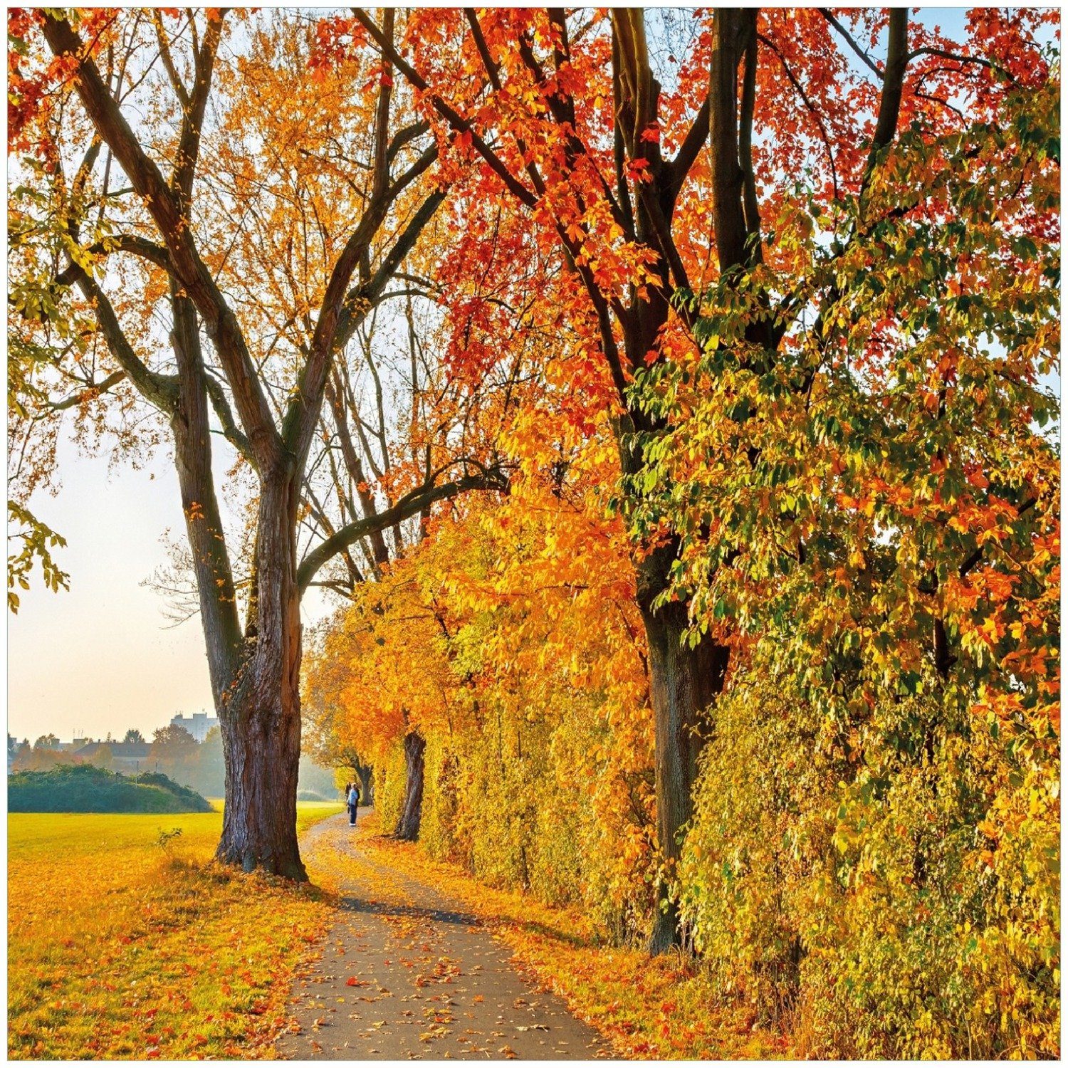 Wallario Waldweg Memoboard mit buntem Laub Herbstlicher