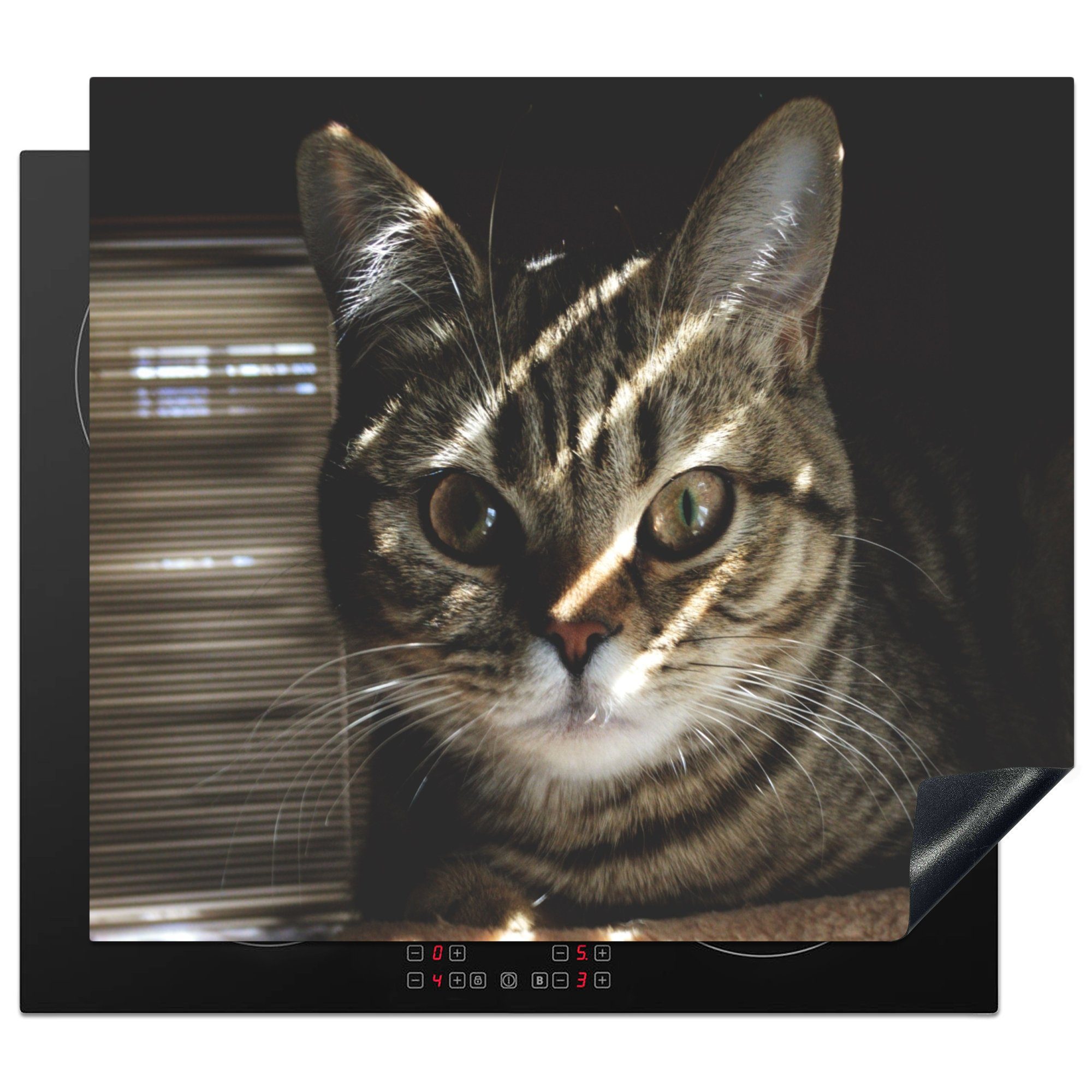 MuchoWow Herdblende-/Abdeckplatte Katze - Kissen - Licht, Vinyl, (1 tlg), 60x52 cm, Mobile Arbeitsfläche nutzbar, Ceranfeldabdeckung