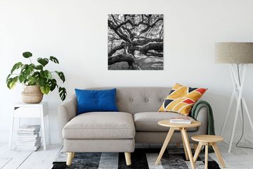 Pixxprint Leinwandbild Baum, Baum (1 St), Leinwandbild fertig bespannt, inkl. Zackenaufhänger
