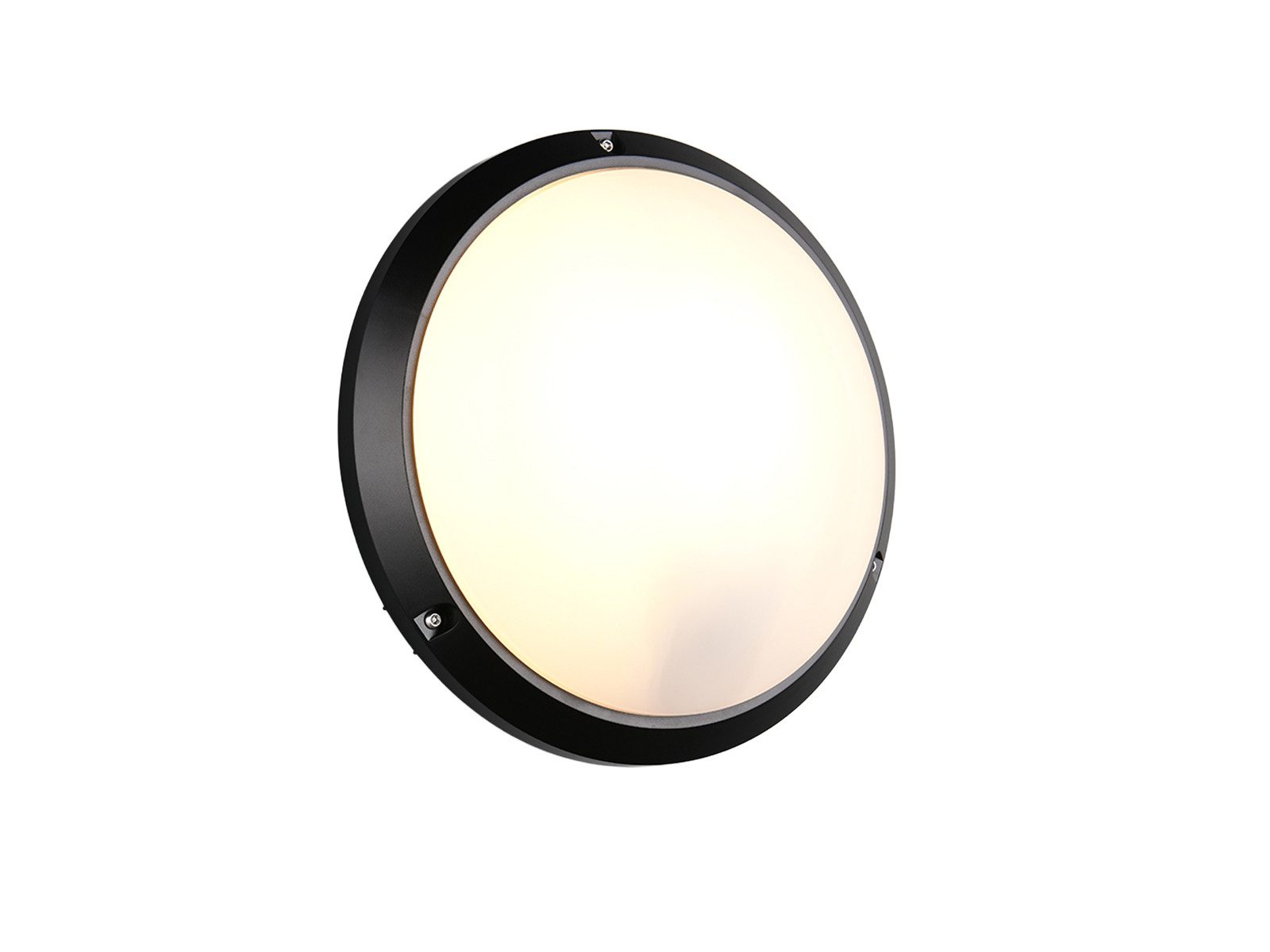 Reality Leuchten LED Außen-Wandleuchte stoßfest & wetterfest IP65, Ø 27cm, LED wechselbar, warmweiß, Fassadenbeleuchtung Außenbeleuchtung Hauswand dimmbares Leuchtmittel