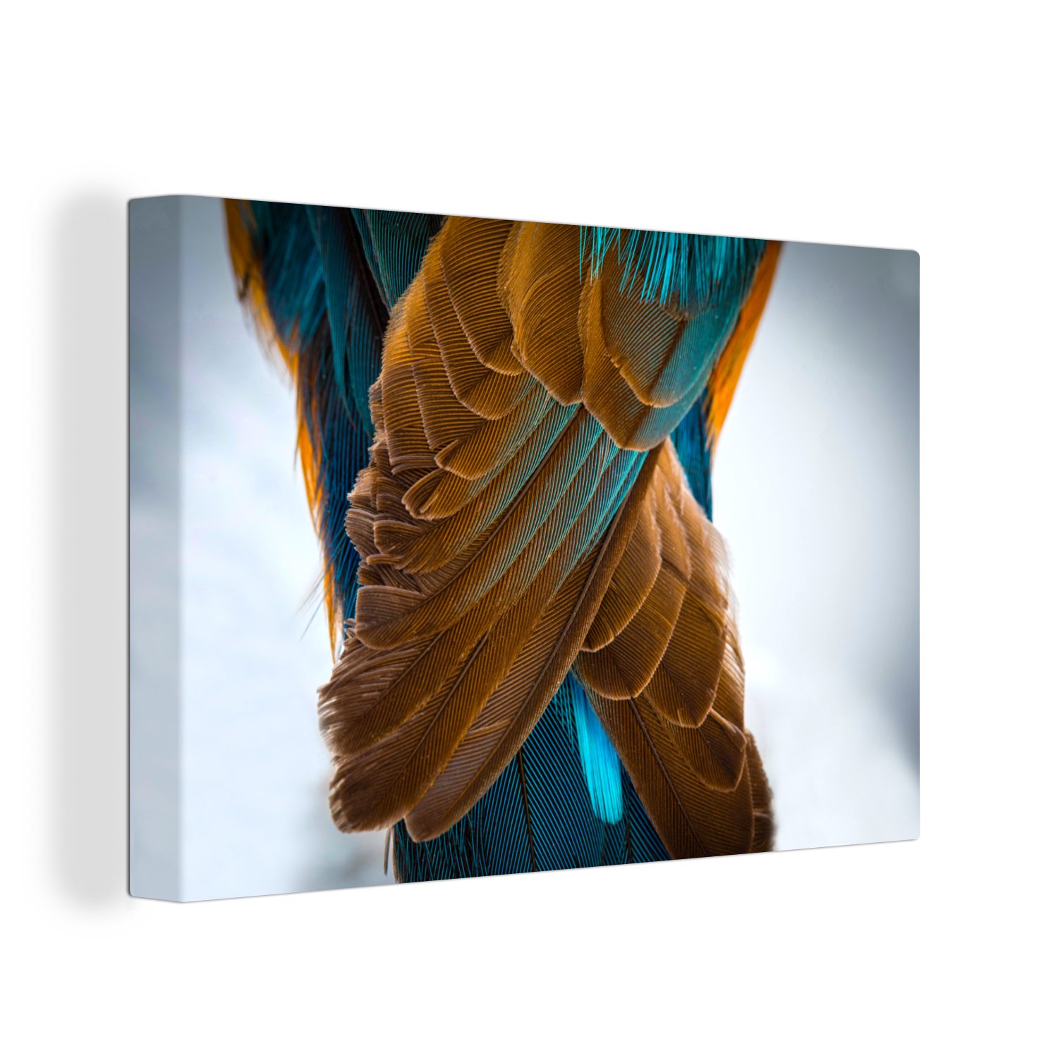 OneMillionCanvasses® Leinwandbild Eisvogel cm Federn Leinwandbilder, Wanddeko, (1 Wandbild - Aufhängefertig, 30x20 - Tiere, St)