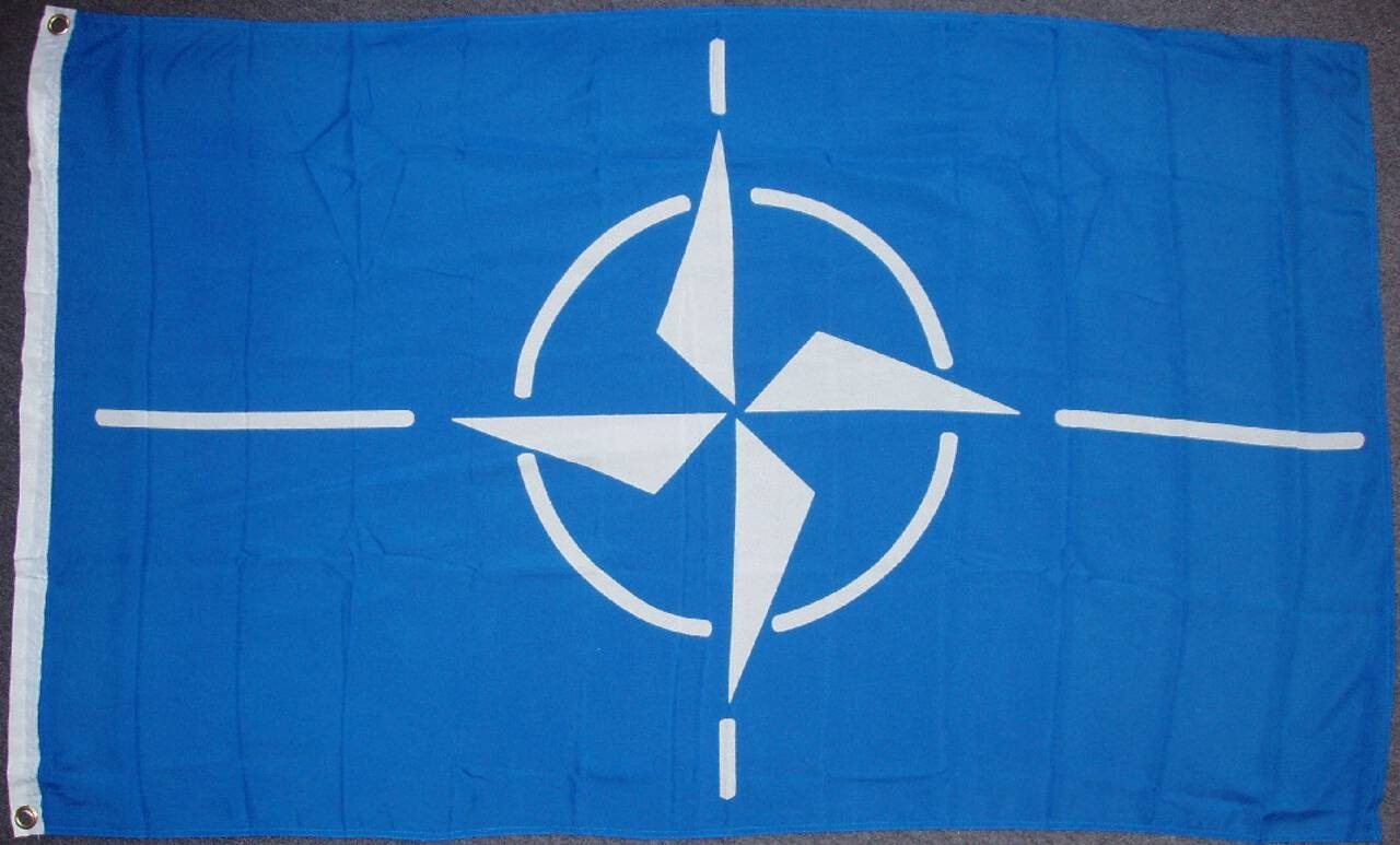 flaggenmeer Flagge NATO 80 g/m²