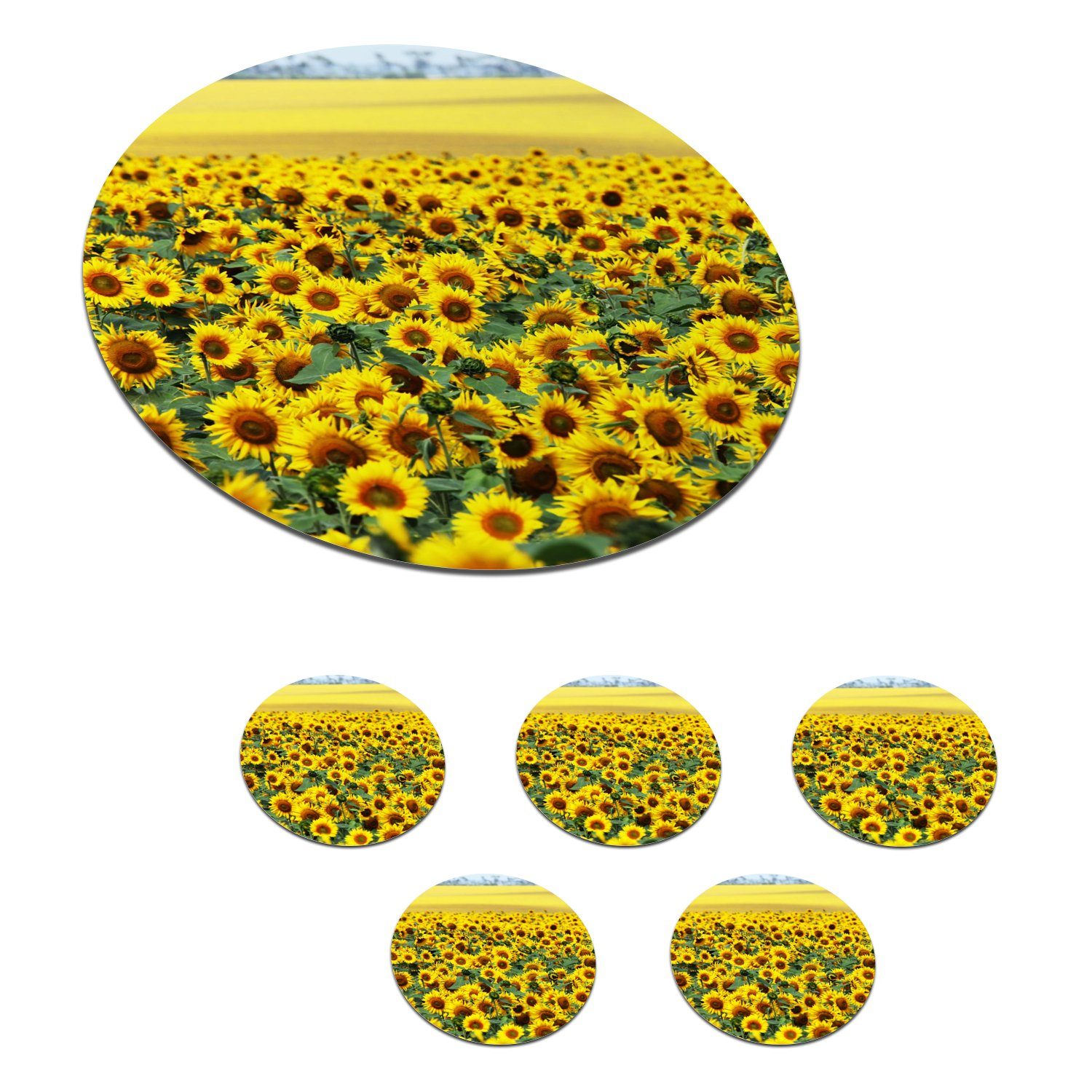 MuchoWow Glasuntersetzer Sonnenblume - Blumen - Natur, Zubehör für Gläser, 6-tlg., Getränkeuntersetzer, Tassenuntersetzer, Korkuntersetzer, Tasse, Becher