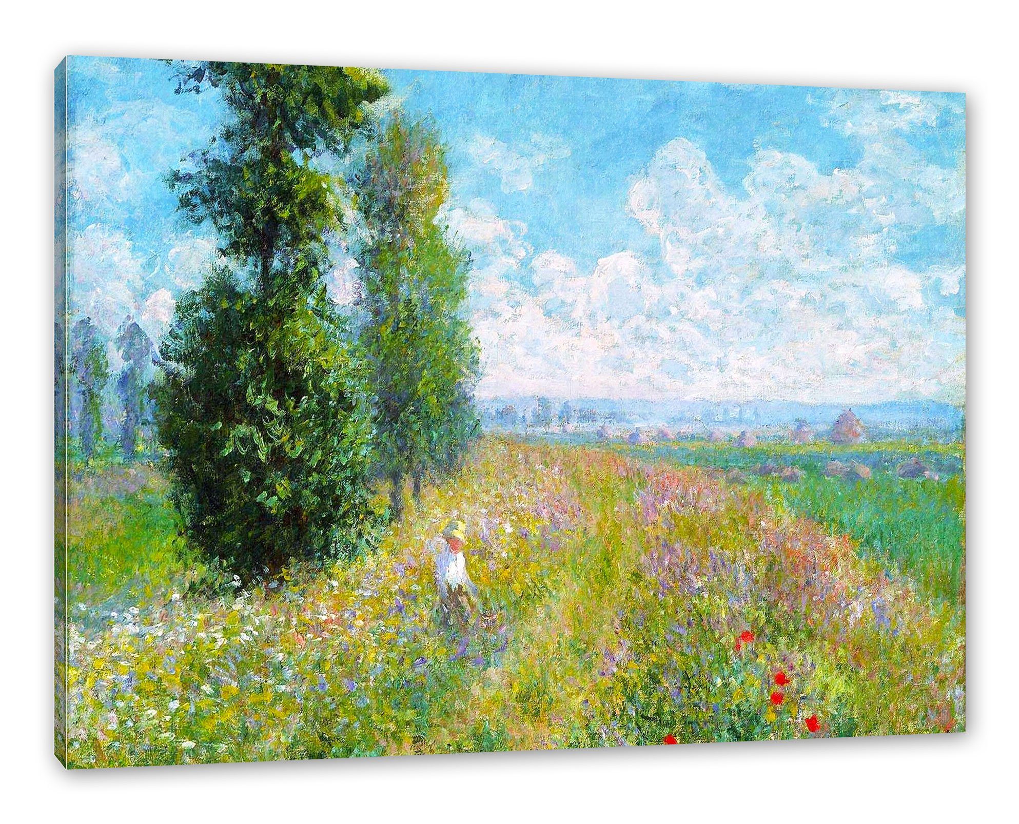 Pixxprint Leinwandbild Claude Monet - Wiese günstig online kaufen