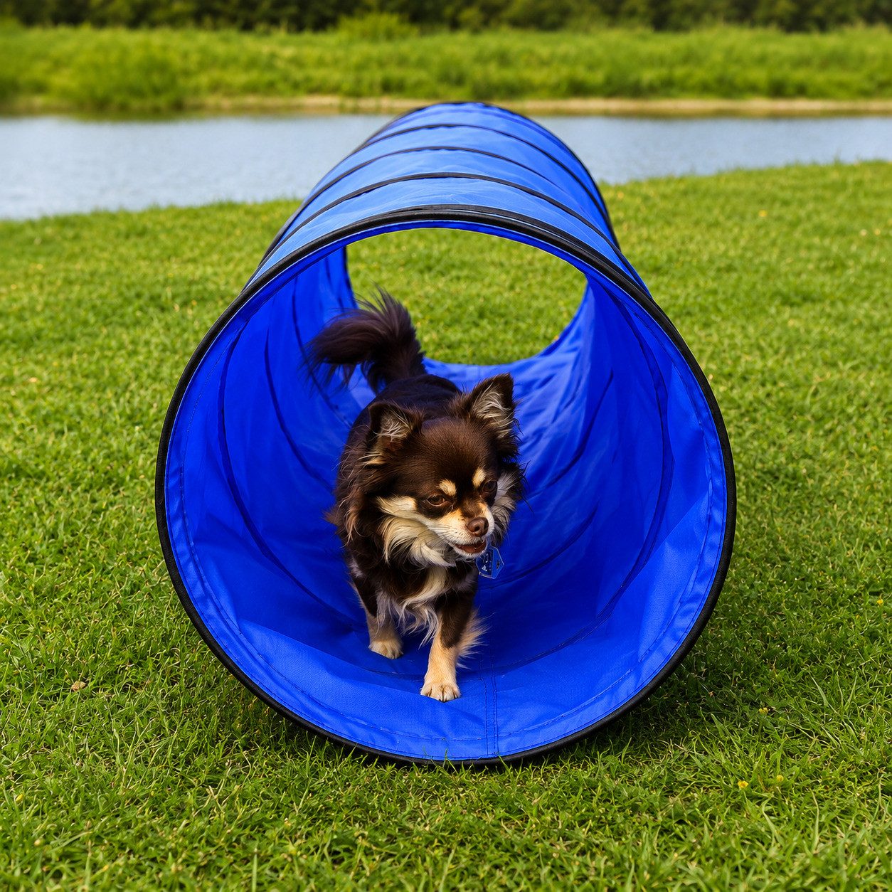 lionto Agility-Tunnel faltbar mit Tragetasche & Heringen, 200x40 cm, blau, Textil & Metall, (1-tlg) stabiler Hundespieltunnel für Hundesport & Welpen
