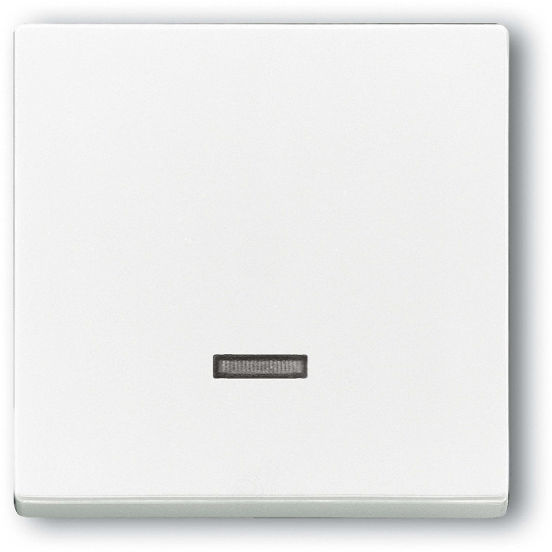 Schalter BUSCH-JAEGER Future Linear 6543-84-101
