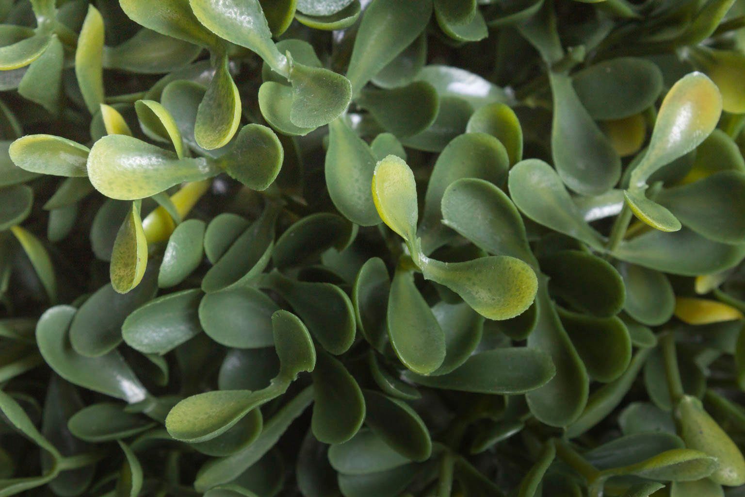 Kunstbaum Buchskugel Buchs, Höhe 20 cm Botanic-Haus