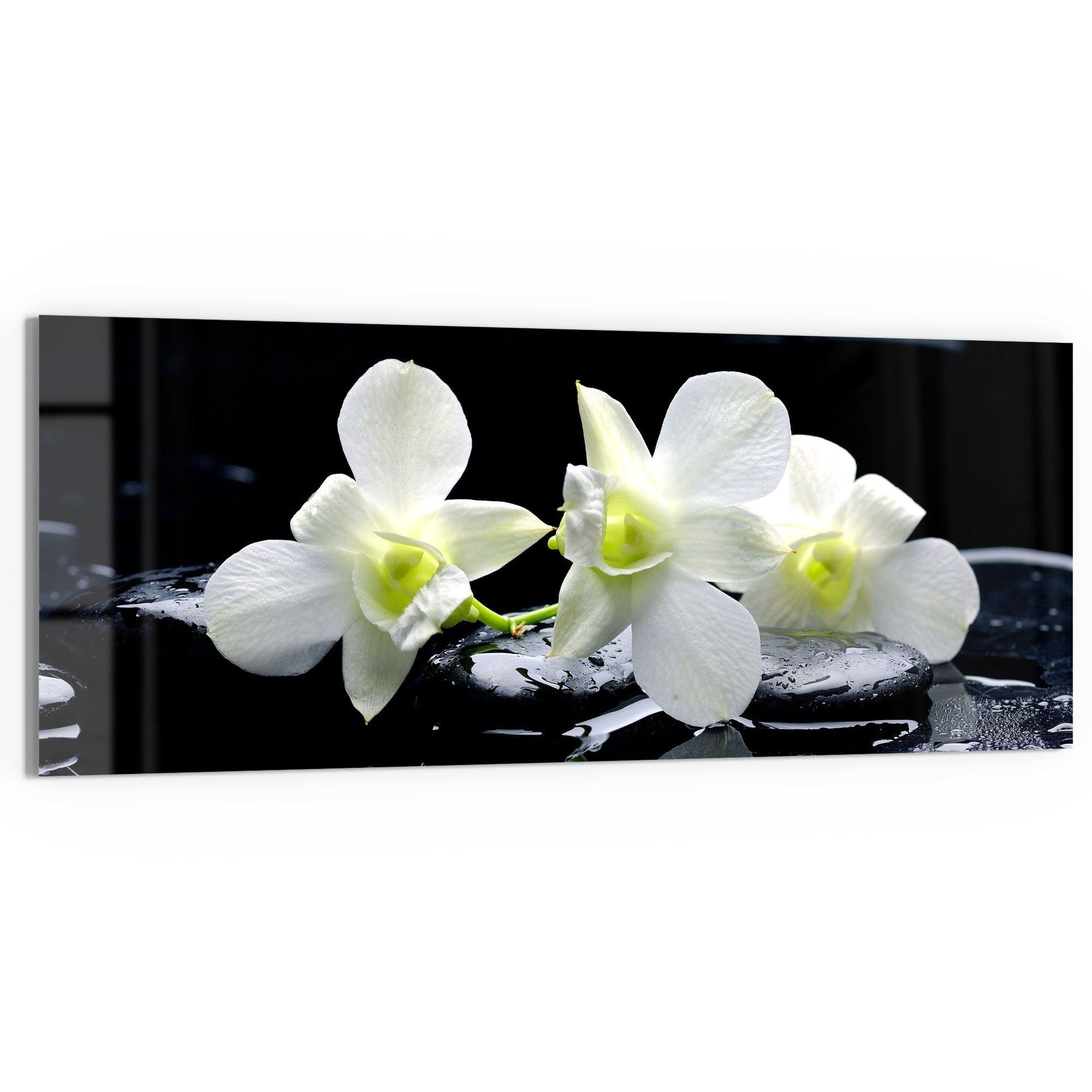 DEQORI Glasbild 'Orchidee mit Zen-Steinen', 'Orchidee günstig online kaufen