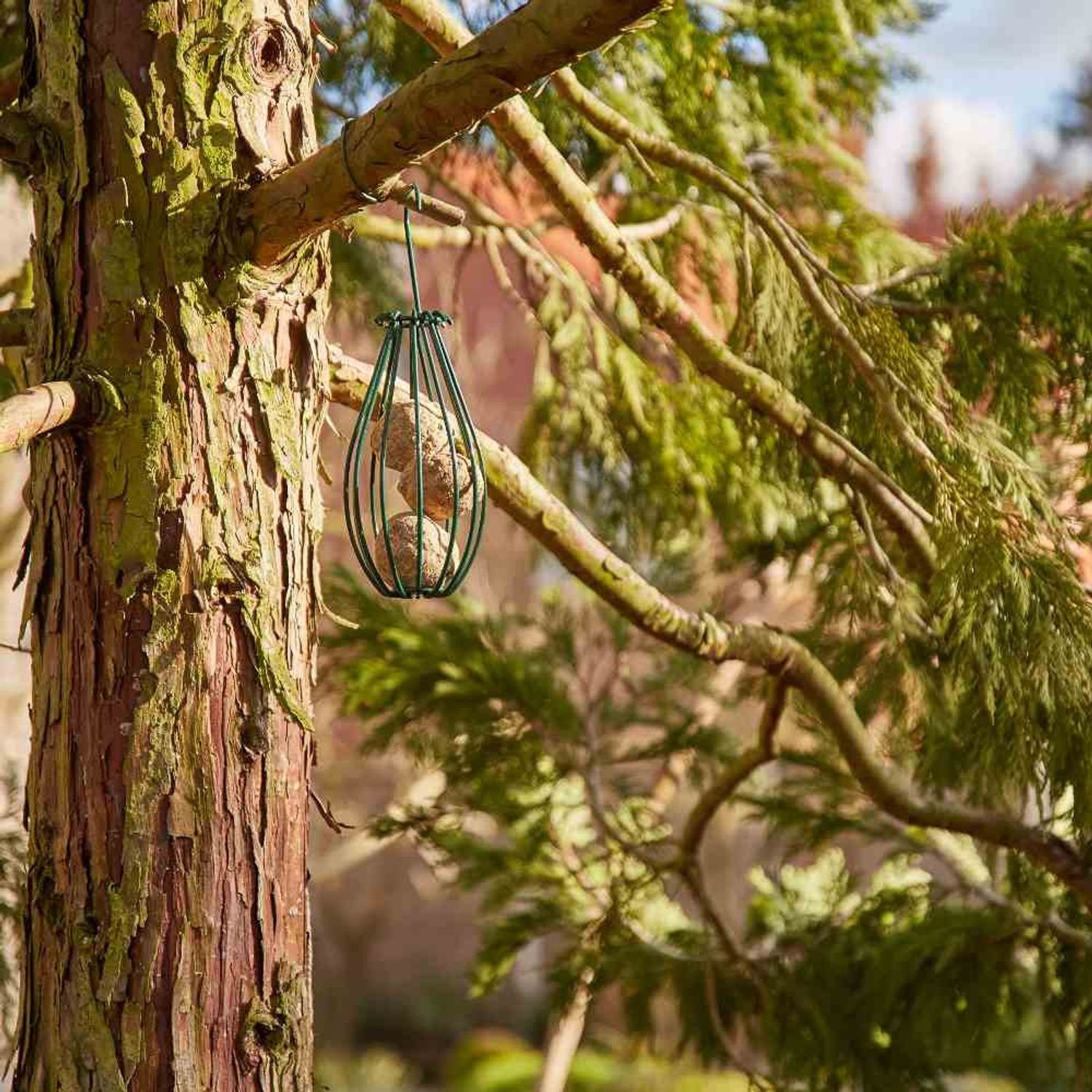 Siena Garden Vogelhaus Meisenknödelkorb für Meisenknödel, 30cm