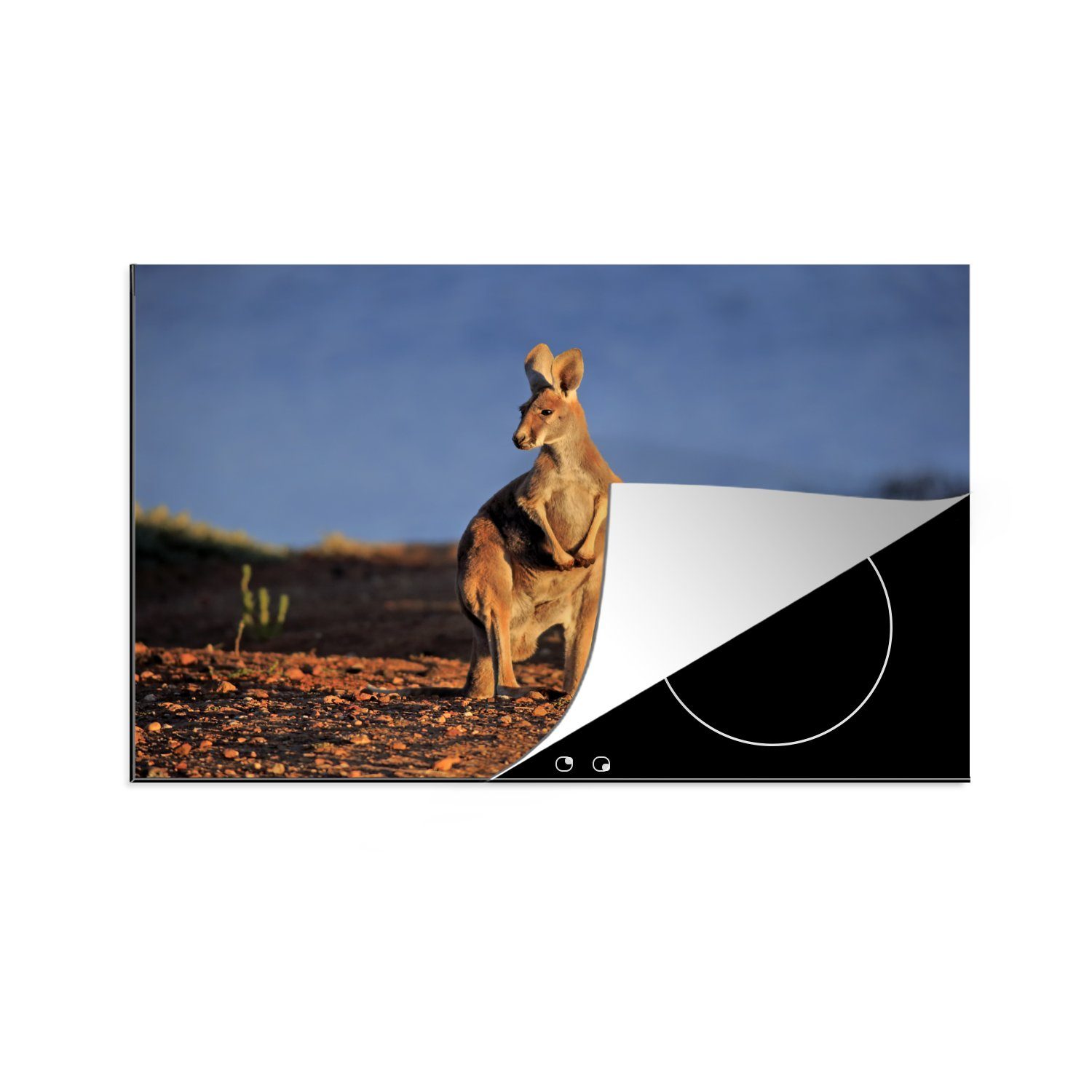 MuchoWow Herdblende-/Abdeckplatte Känguru - Tier Ceranfeldabdeckung Schutz - küche, Vinyl, tlg), cm, Sonne (1 Induktionskochfeld 81x52 für die Natur, 