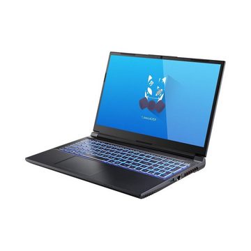 ONE GAMING ONE GAMING Laptop Commander V150RNE - Gaming Laptop Gaming-Notebook (Intel Core i9 Serie 13. Generation Core i9-13900H, GeForce RTX 4000)