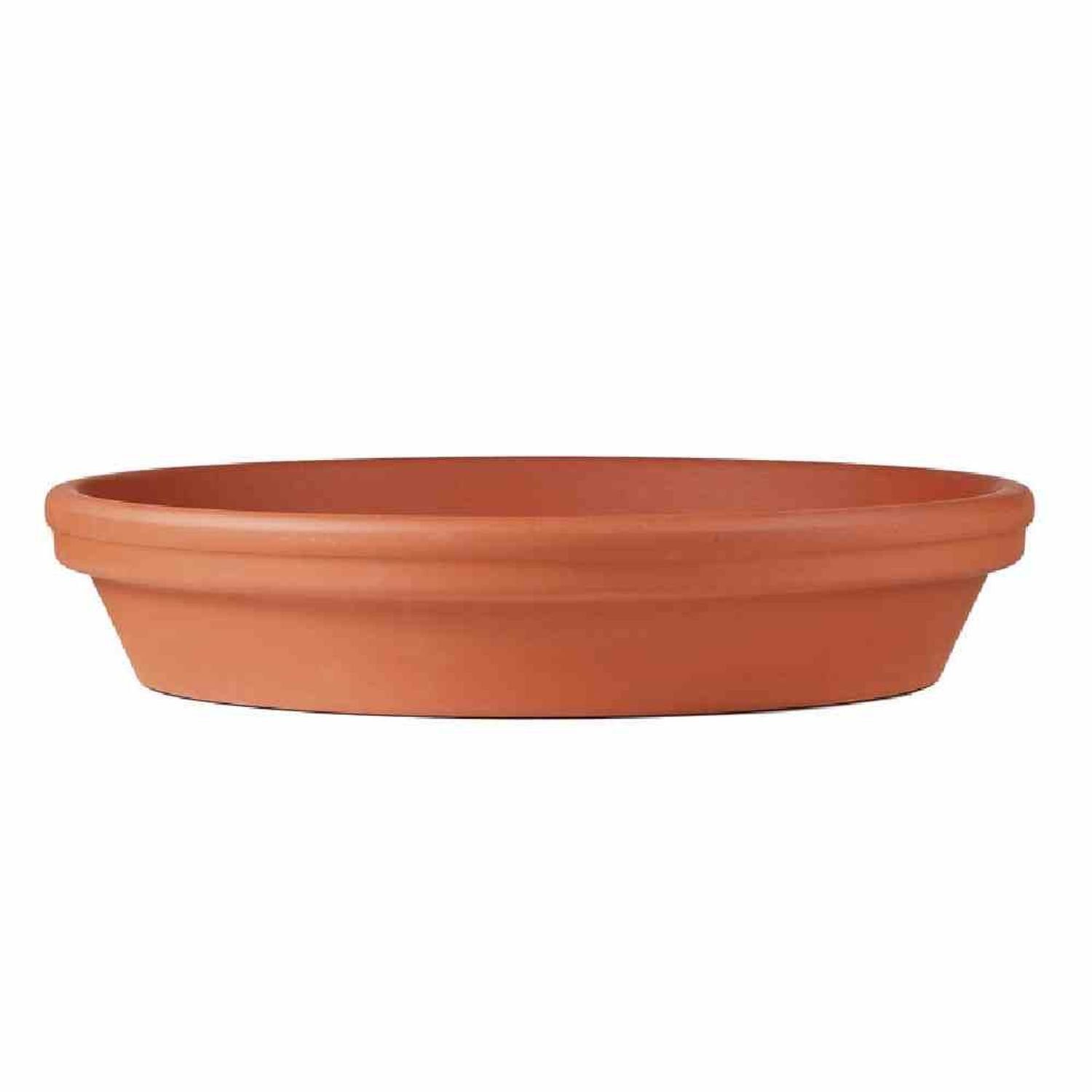 Spang Плантатор Untersetzer Ton 6/7 cm transparent glasiert