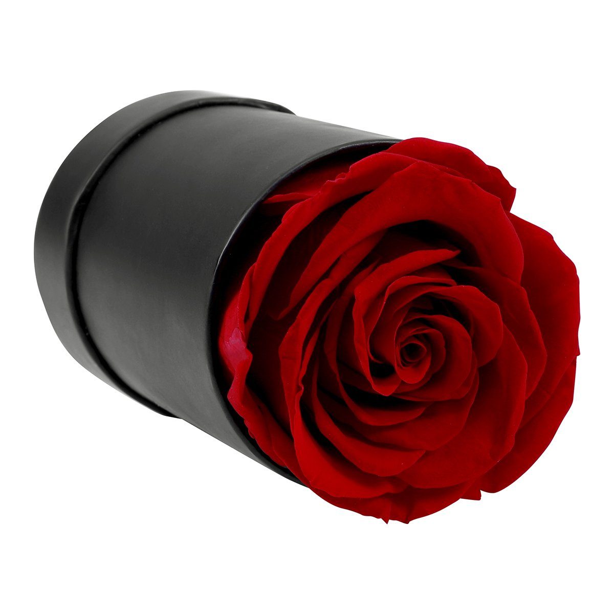 Rosen, Kunstblume Valentinstag, Geschenke Sunicol, Höhe Romantische Konservierte cm zum 8