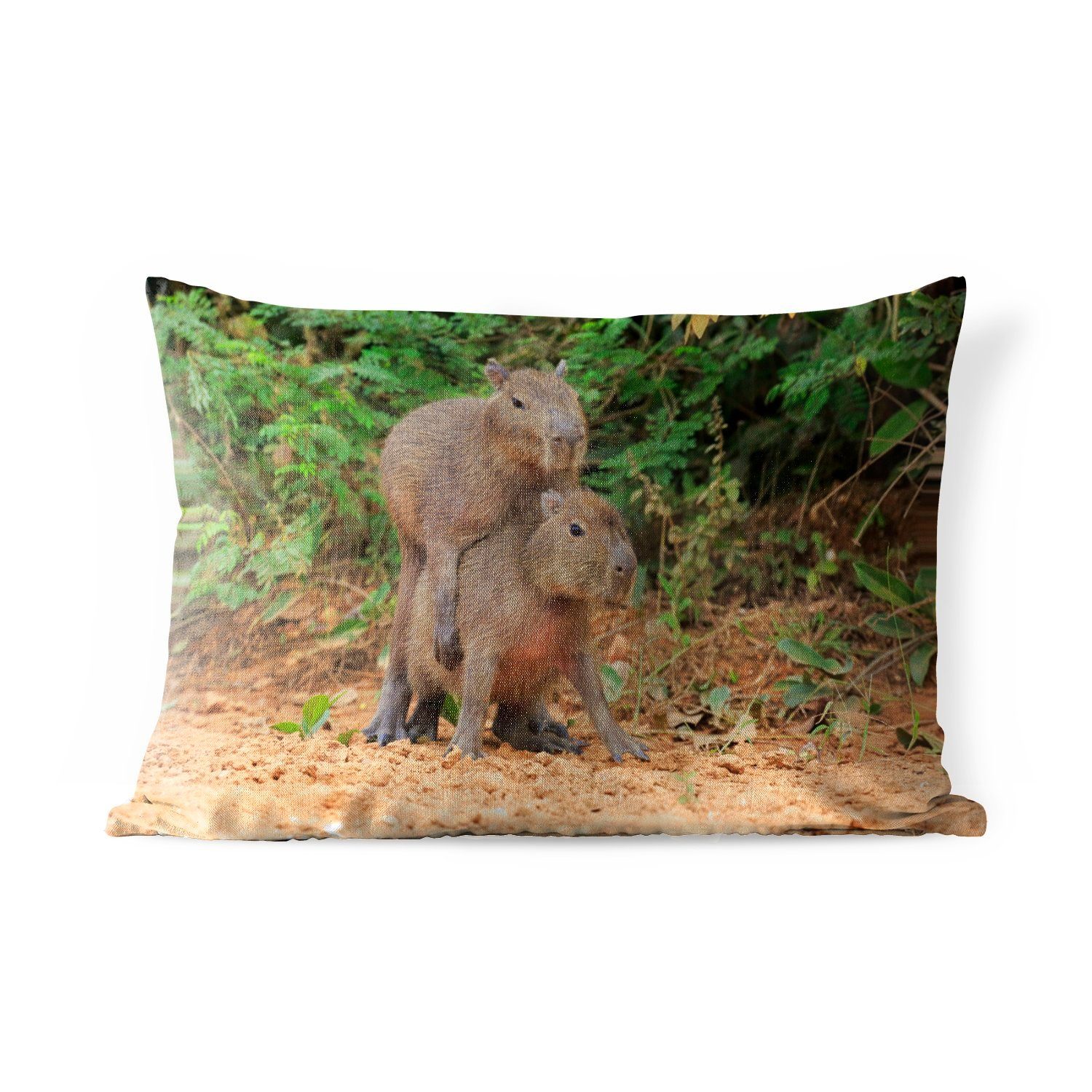 MuchoWow Dekokissen Zwei Capybara-Junge spielen miteinander, Outdoor-Dekorationskissen, Polyester, Dekokissenbezug, Kissenhülle