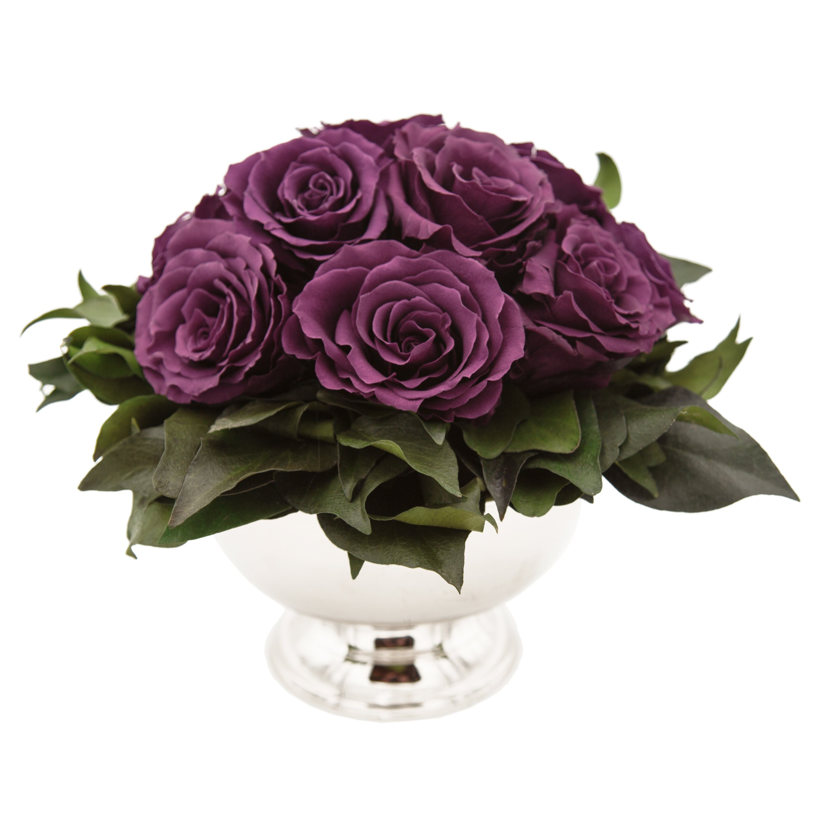 Gestecke Blumengesteck 11 Infinity Rosen in Blumenschale Blumenstrauß Rosenbox Rose, ROSEMARIE SCHULZ Heidelberg, Höhe 18 cm, Echte Blumen 3 Jahre haltbar, Geschenk für Frauen, Made in Germany