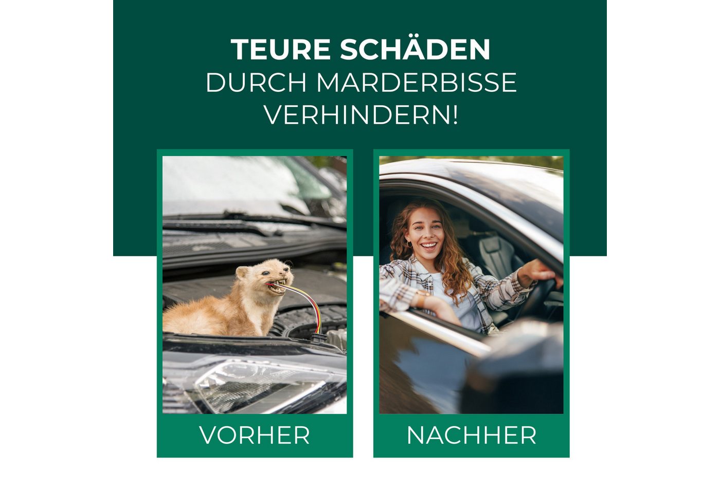 Thumbnail - Silberkraft Marderspray Silberkraft Marderspray, Sofort- & Langzeitschutz gegen Marder im Auto, 500 ml, 2-St., Verhinder...