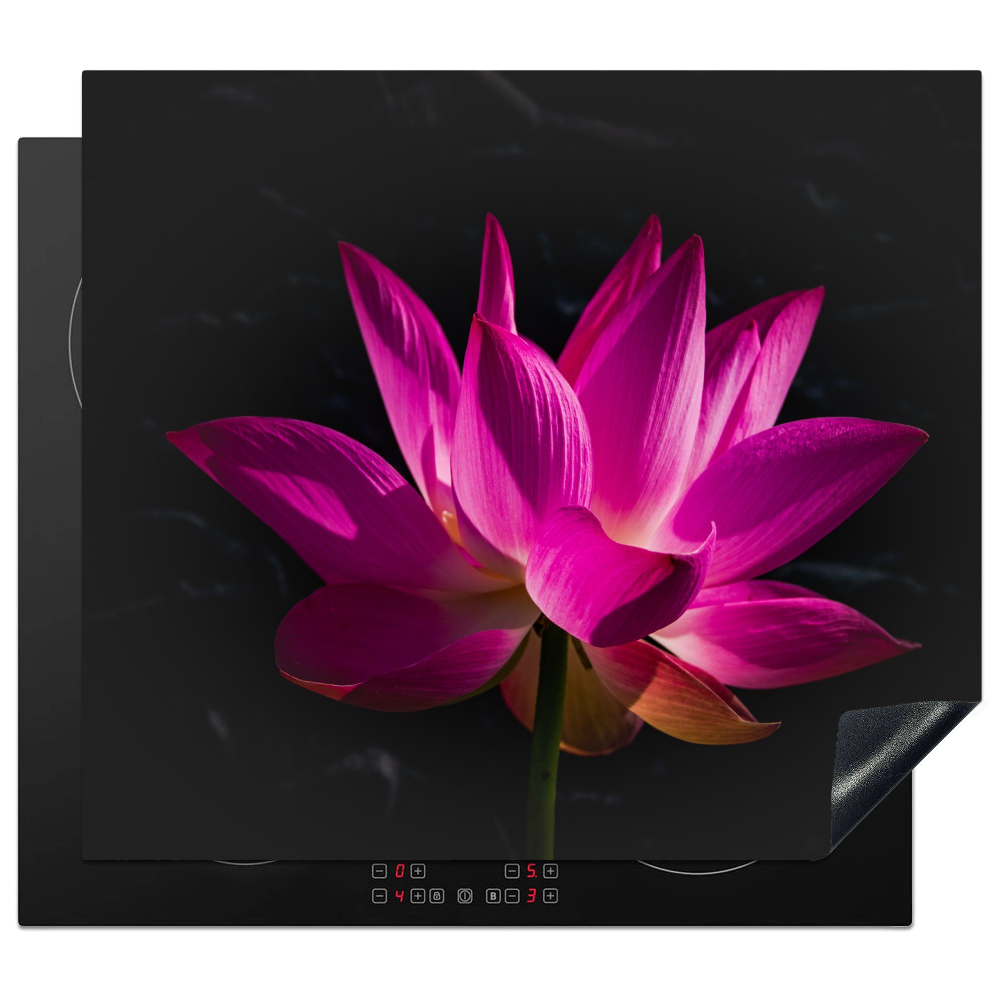 MuchoWow Herdblende-/Abdeckplatte Lotus - Rosa - Blume, Vinyl, (1 tlg), 59x52 cm, Ceranfeldabdeckung für die küche, Induktionsmatte