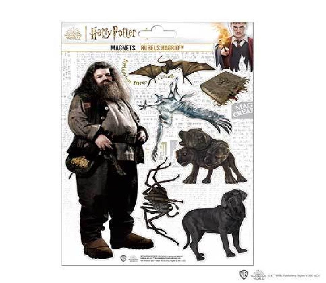 The Noble Collection Magnet Harry Potter Magnete Hagrid (7-St)