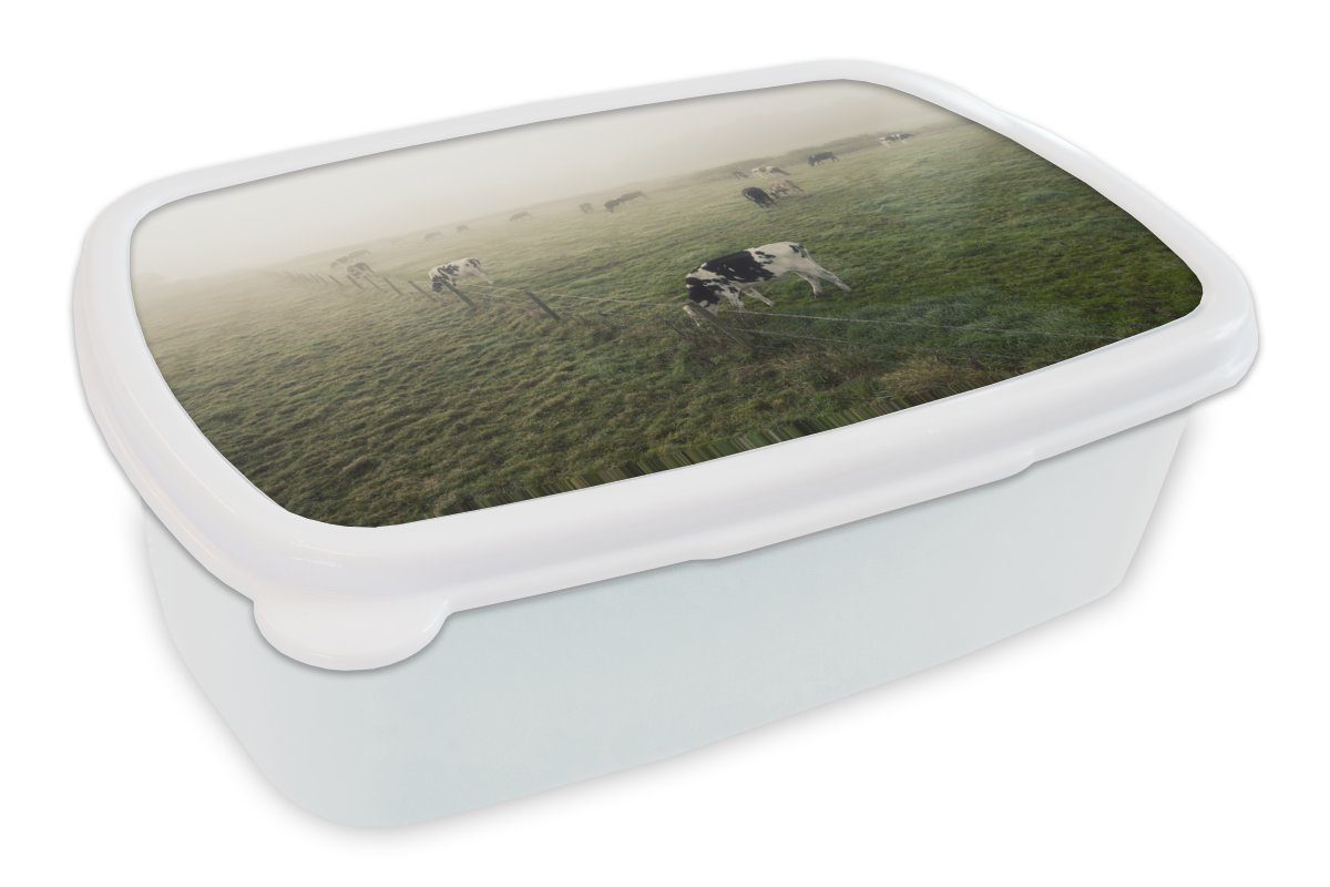 MuchoWow Lunchbox Kühe - Nebel - Friesland, Kunststoff, (2-tlg), Brotbox für Kinder und Erwachsene, Brotdose, für Jungs und Mädchen weiß