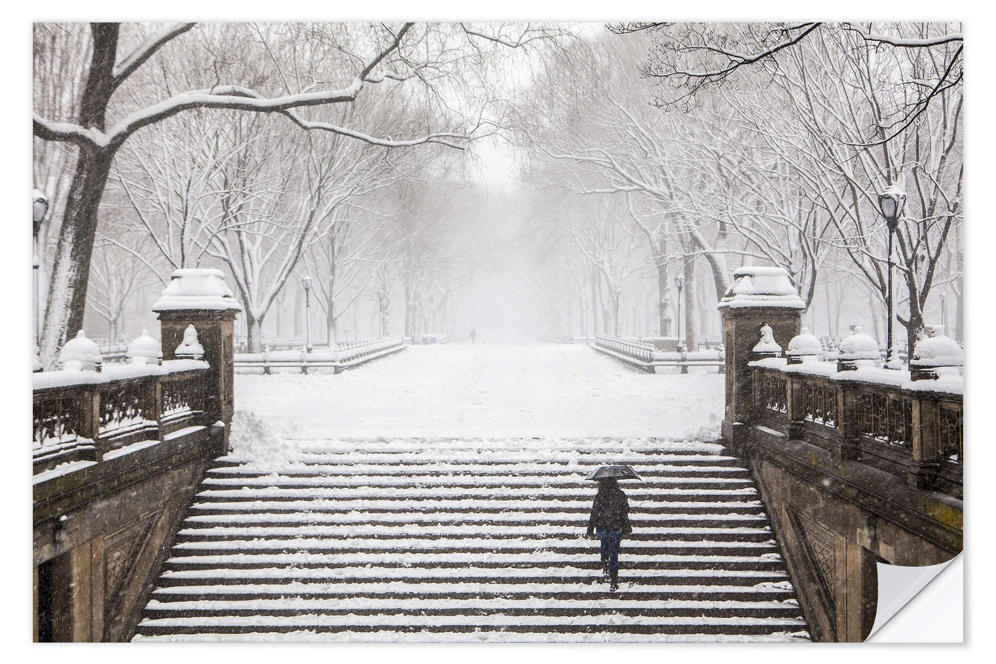 Posterlounge Wandfolie Editors Choice, Winter im Central Park, Wohnzimmer Fotografie