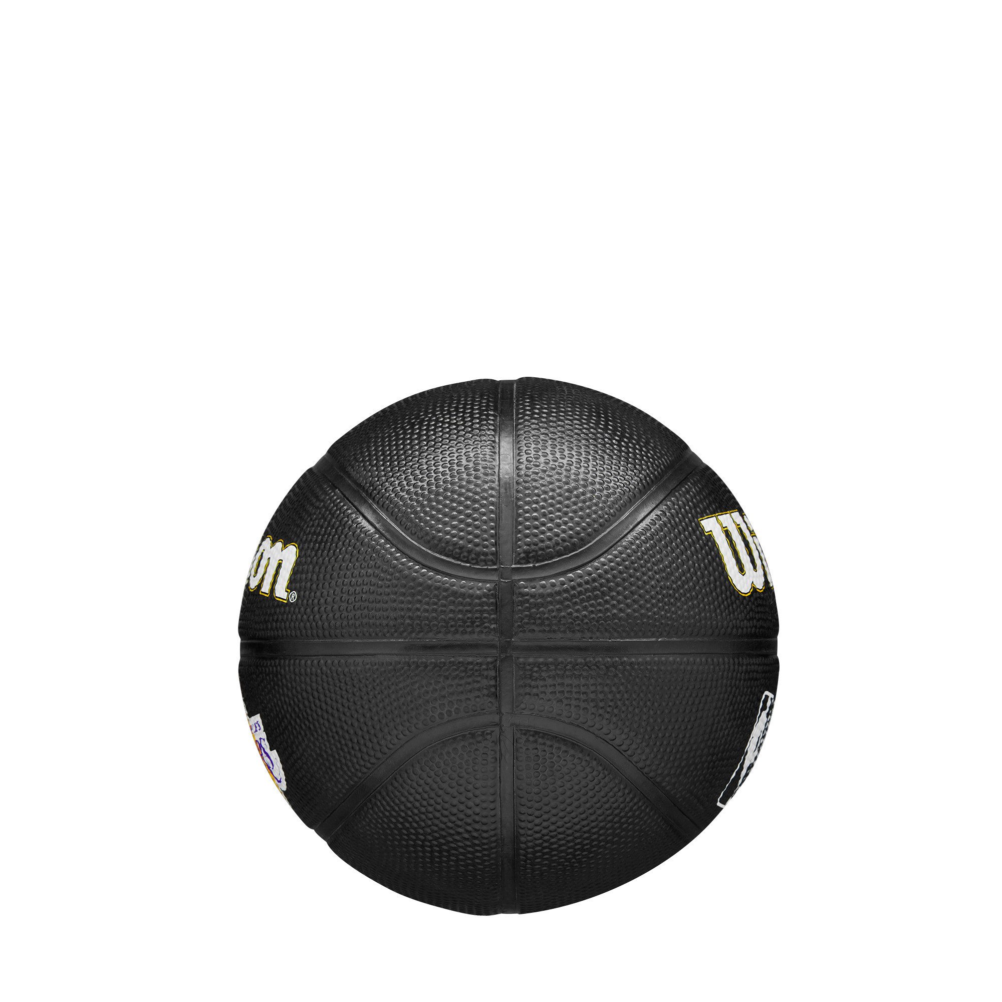 Wilson Basketball NBA TEAM TRIBUTE MINI