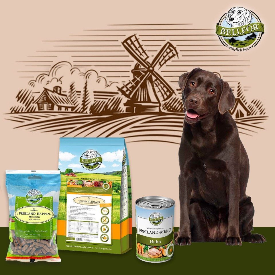 Bellfor Bellfor Labrador Futter Set, für: Hunde