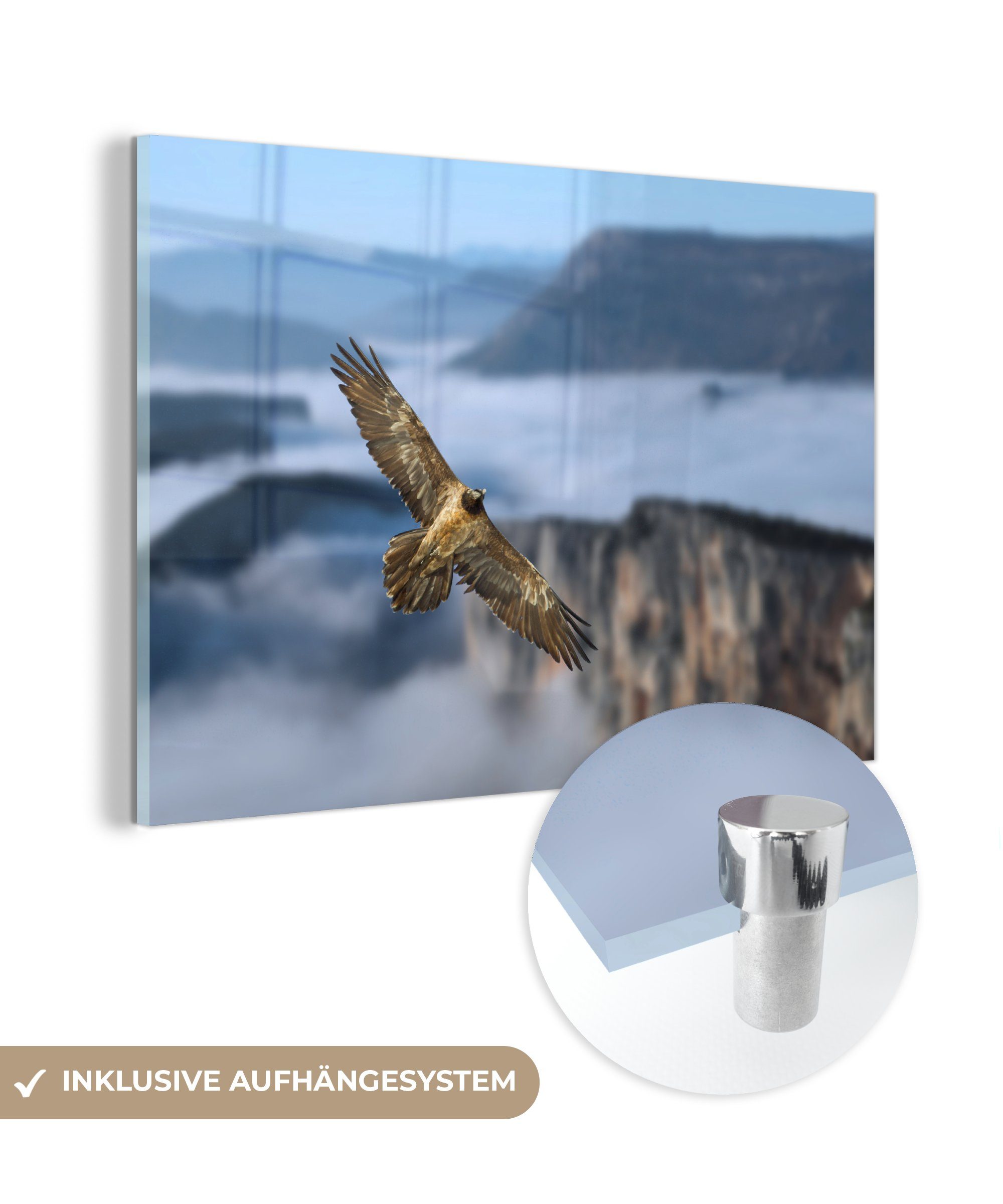 MuchoWow Acrylglasbild Bartgeier im Flug über eine Berglandschaft, (1 St), Acrylglasbilder Wohnzimmer & Schlafzimmer