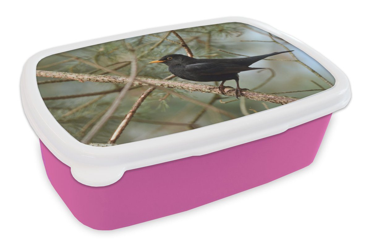MuchoWow Lunchbox Vogel - Amsel - Zweige - Tiere, Kunststoff, (2-tlg), Brotbox für Erwachsene, Brotdose Kinder, Snackbox, Mädchen, Kunststoff rosa