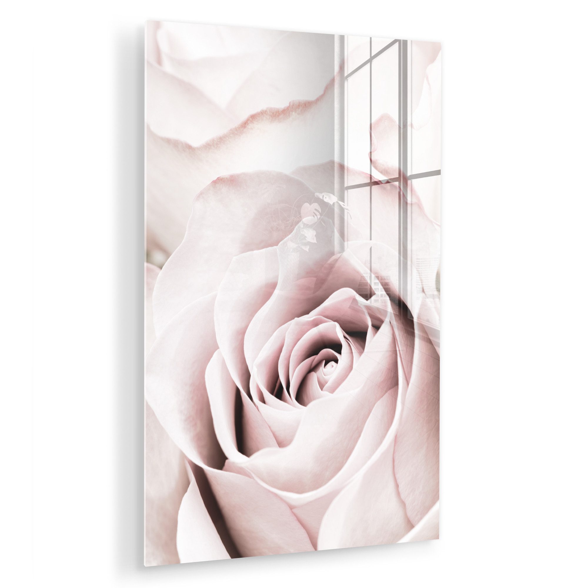 MuchoWow Acrylglasbild Blumen - Rose - Rosa - Botanisch, Inkl. Aufhängung, günstig online kaufen