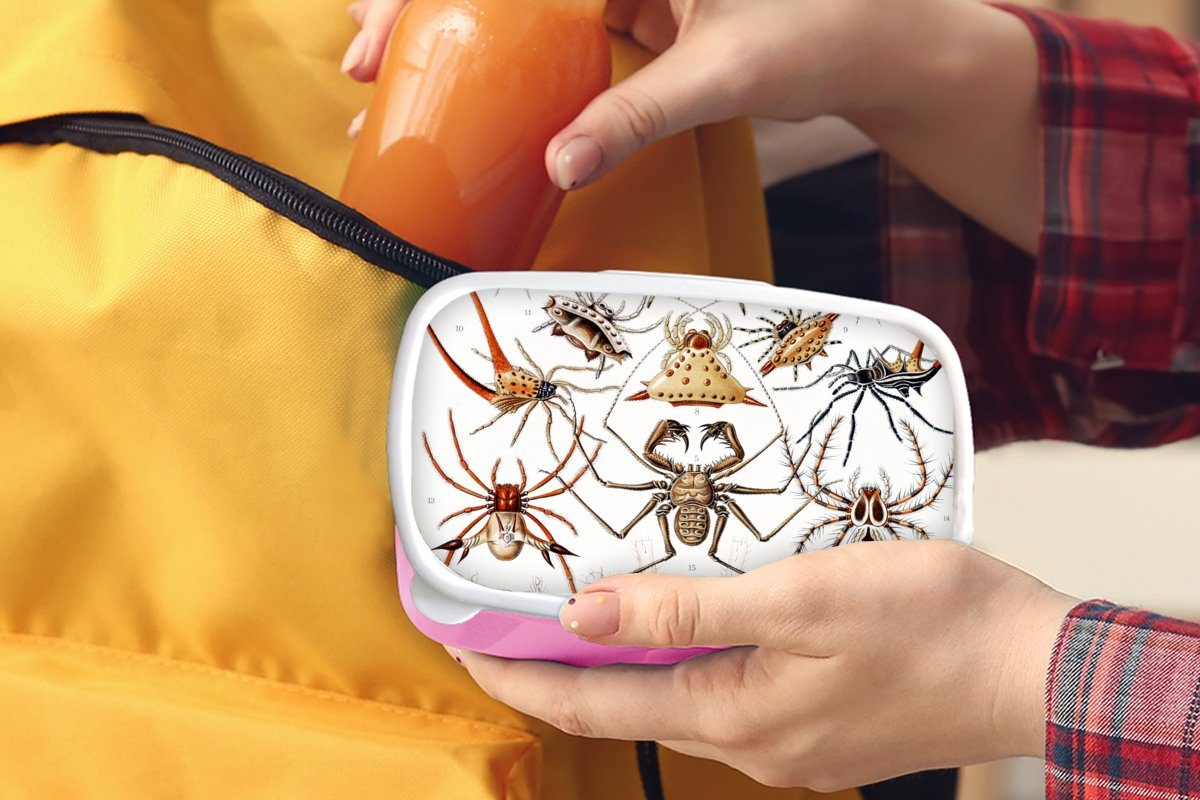 Ernst Spinnen, für Haeckel (2-tlg), - Kunststoff Brotdose Snackbox, Kinder, - rosa Mädchen, Erwachsene, MuchoWow Lunchbox Brotbox Retro - Kunststoff, Spinne