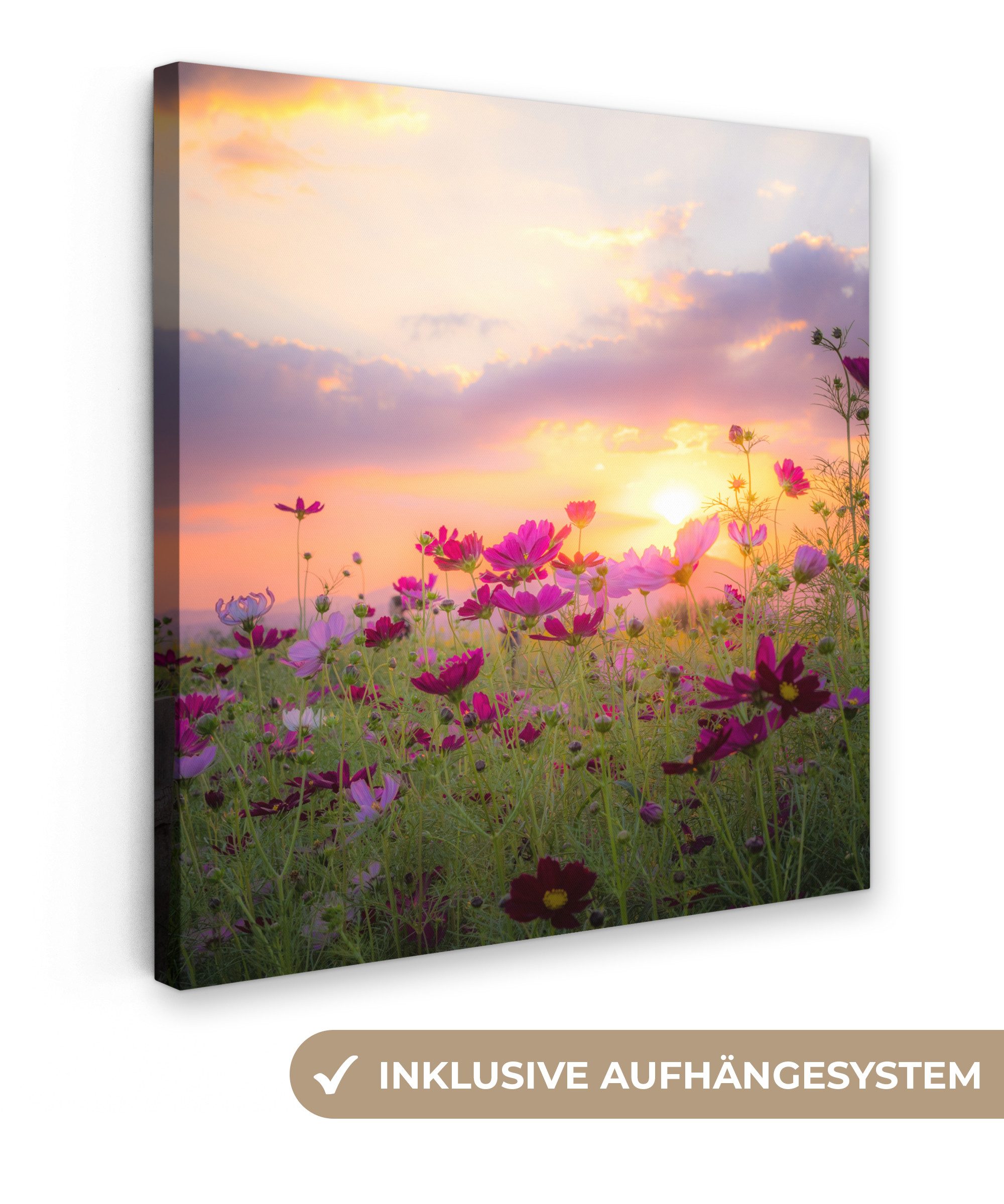 OneMillionCanvasses® Leinwandbild Sonnenuntergang - Blumen - günstig online kaufen
